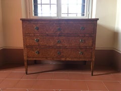 Italy Late 18th Century Regency Elmwood Root Chest of Drawers