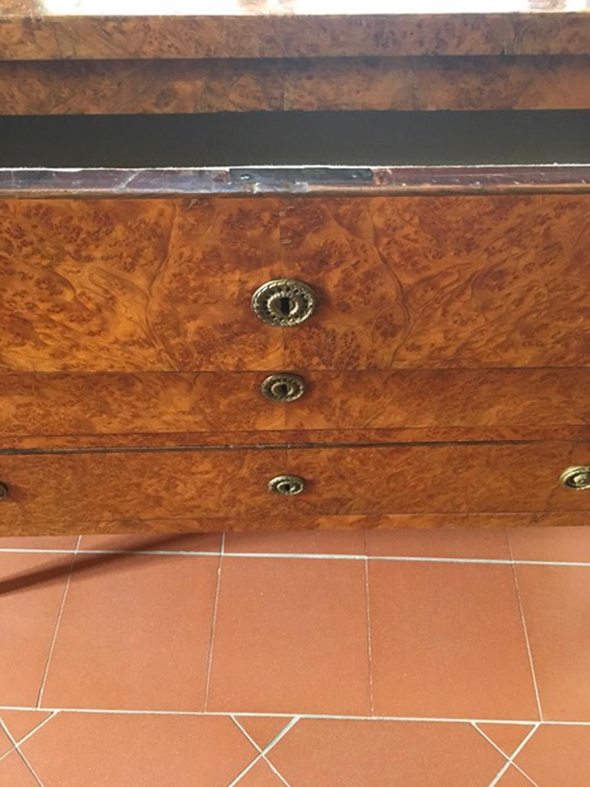 Hand-Crafted Italy Late 18th Century Regency Elmwood Root Chest of Drawers For Sale