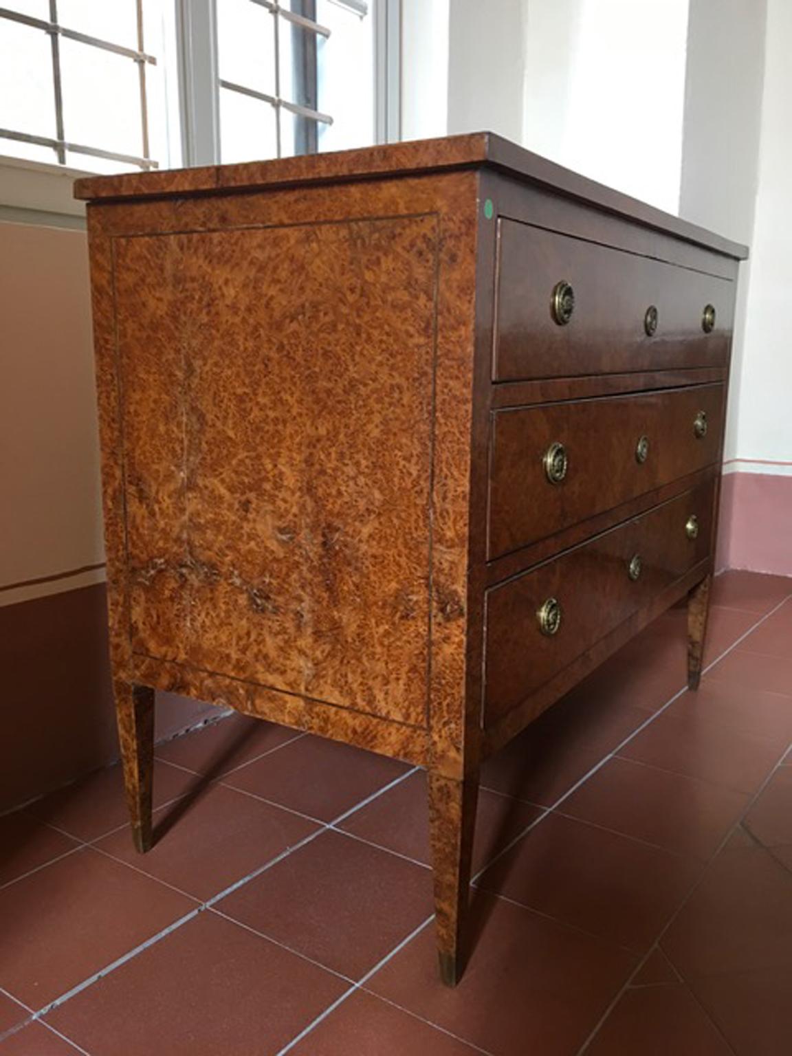 Orme Italie Fin du 18ème siècle Régence Elmwood Roots commode en vente