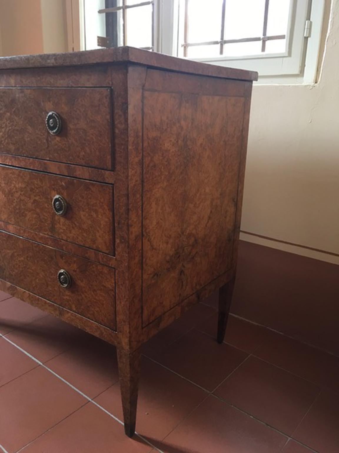 Italy Late 18th Century Regency Elmwood Root Chest of Drawers For Sale 3