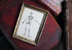 Late 18th Century Engraving Human Skeleton by James Neagle Memento Mori