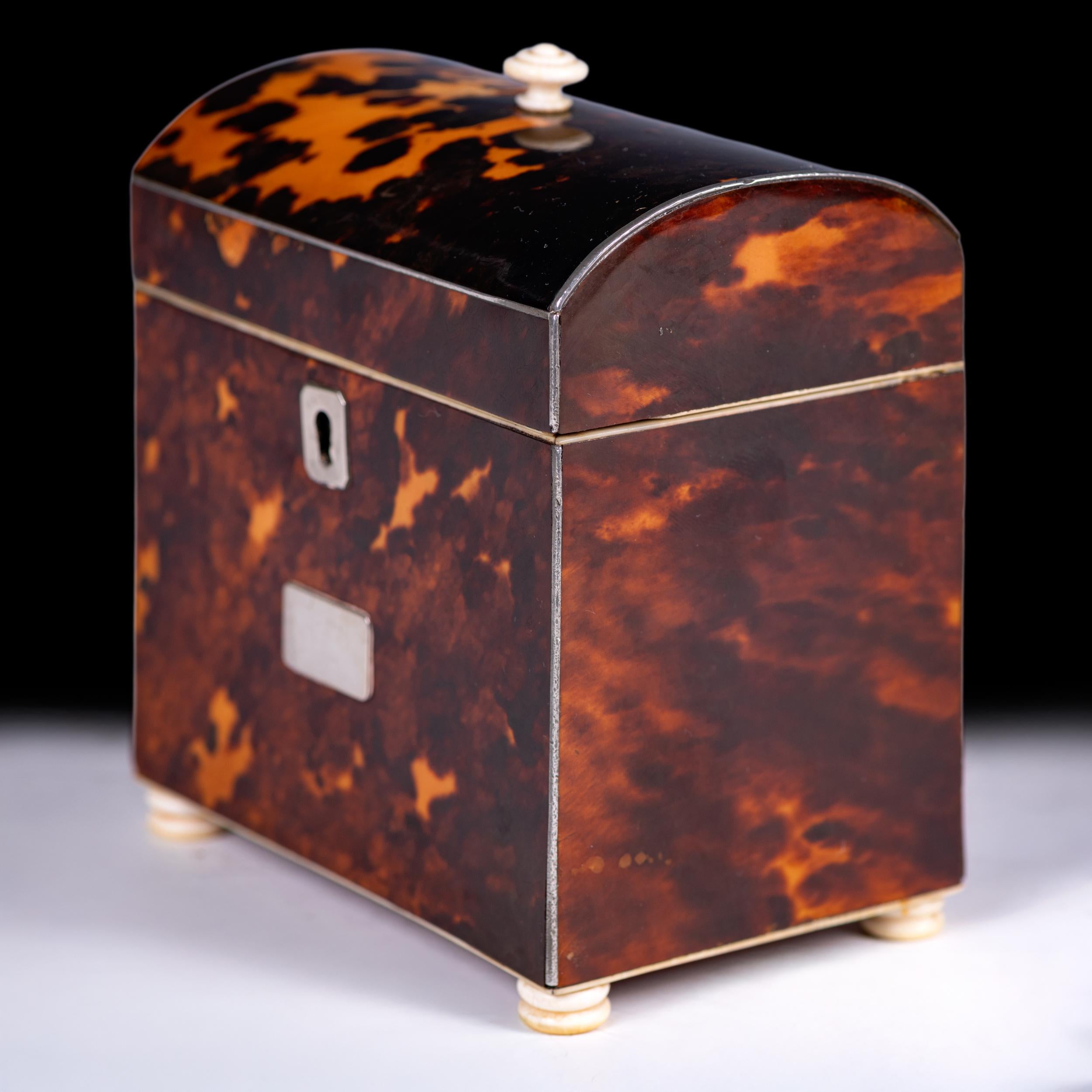 Georgien Boîte à thé en forme de dôme de la fin du XVIIIe siècle de l'Angleterre géorgienne en vente