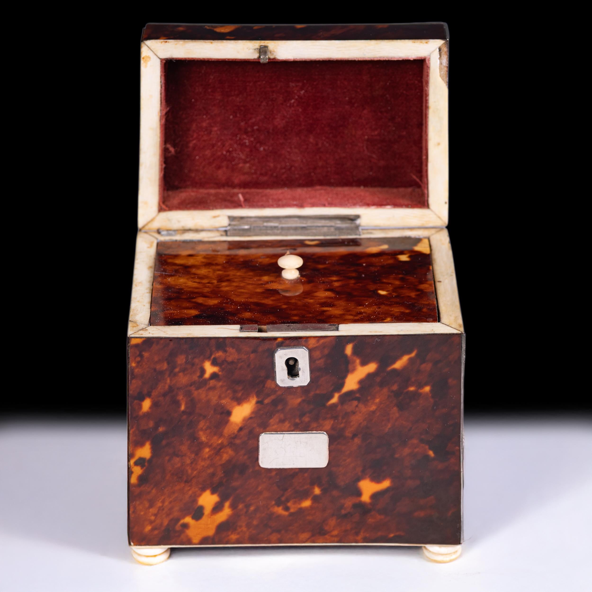 Boîte à thé en forme de dôme de la fin du XVIIIe siècle de l'Angleterre géorgienne Bon état - En vente à Dublin, IE