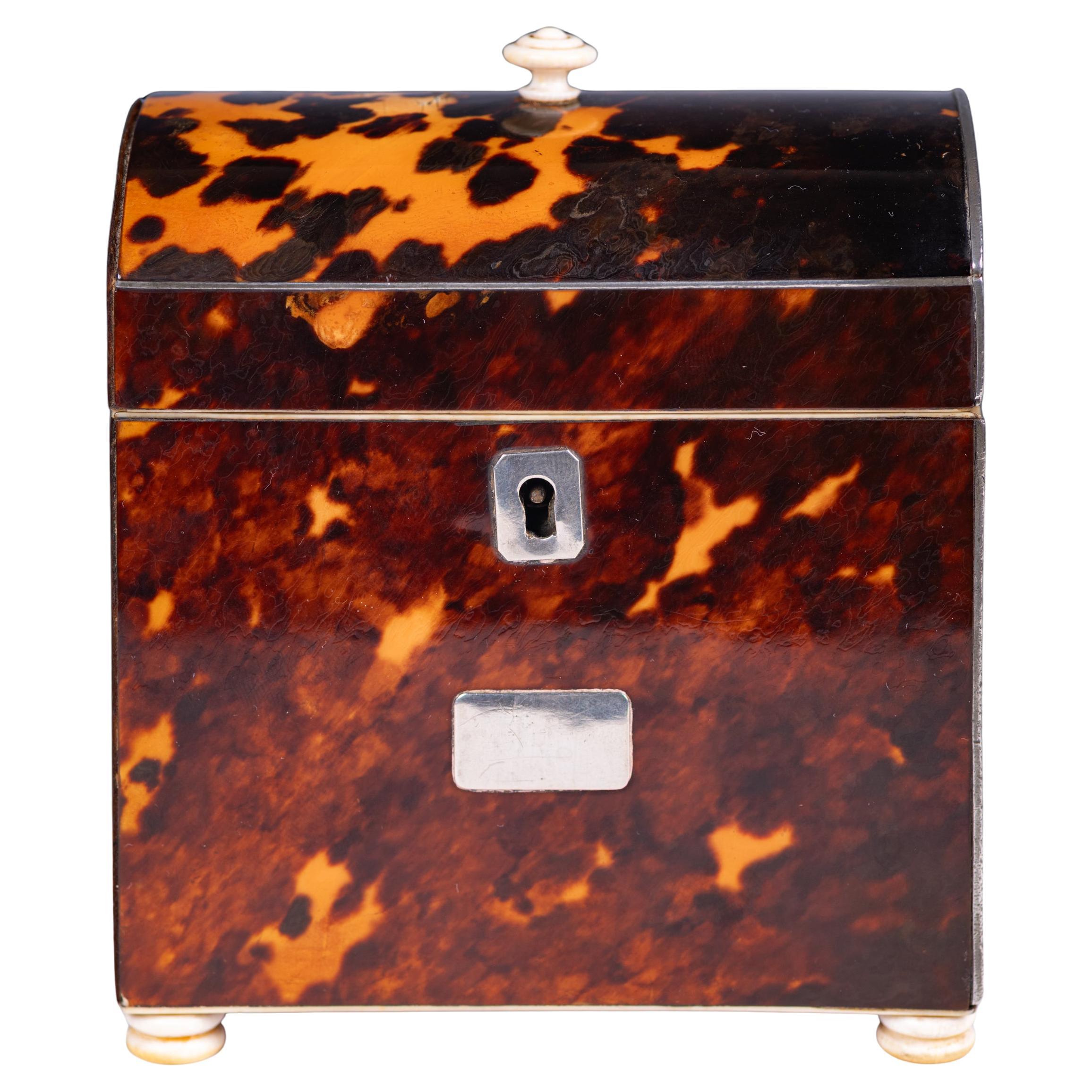 Boîte à thé en forme de dôme de la fin du XVIIIe siècle de l
Angleterre géorgienne en vente