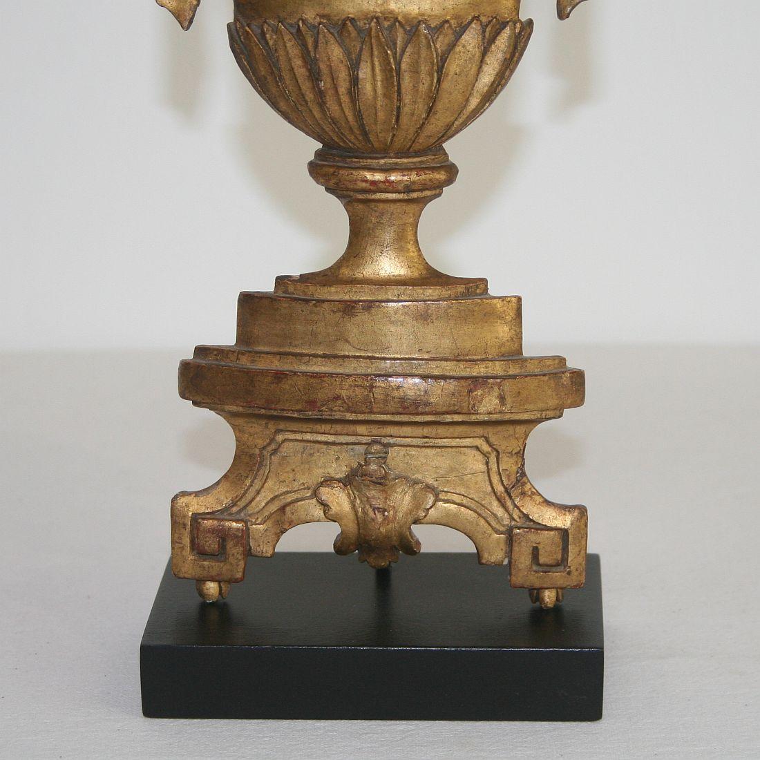 Late 18th Century Italian Giltwood Neoclassical Vase 5