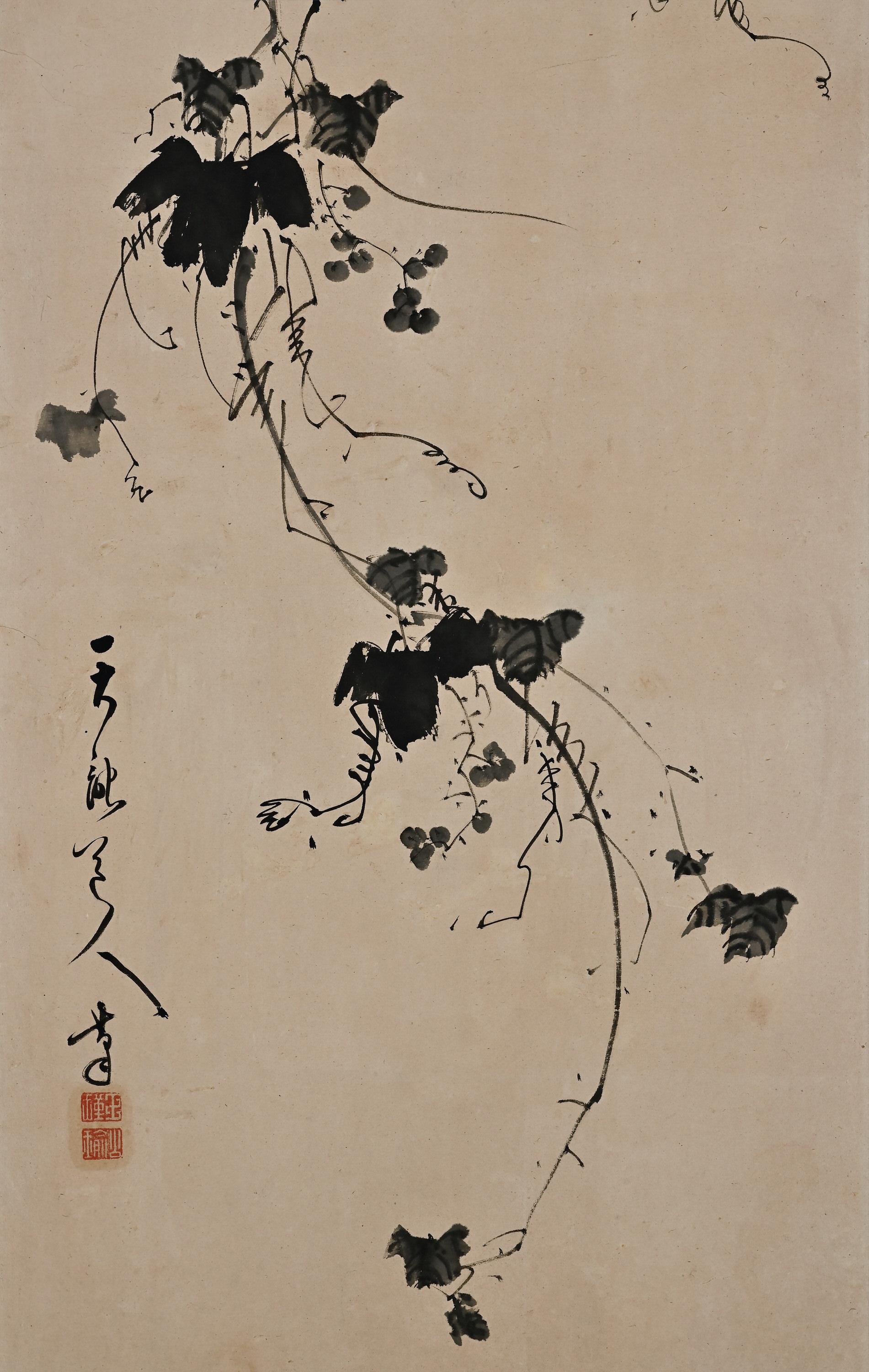 Tenryu Dojin (1718-1810)

Grapevine

Late 18th century

Framed Japanese Painting. Ink on Paper.

A framed Japanese ink painting depicting a grapevine by the well-known 18th century zen monk and artist Tenryu Dojin. Using ink tones ranging