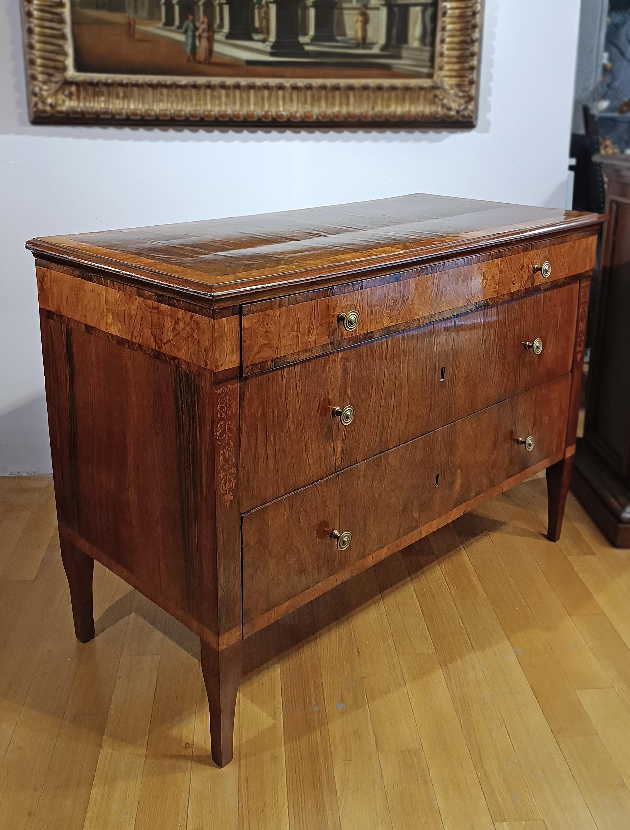 Elegant pair of chests of drawers veneered in walnut burl and elm burl. The chests are distinguished by their tapered truncated pyramid legs and the carved chin strap in the under-top band, lending a touch of refinement. They feature three ergonomic