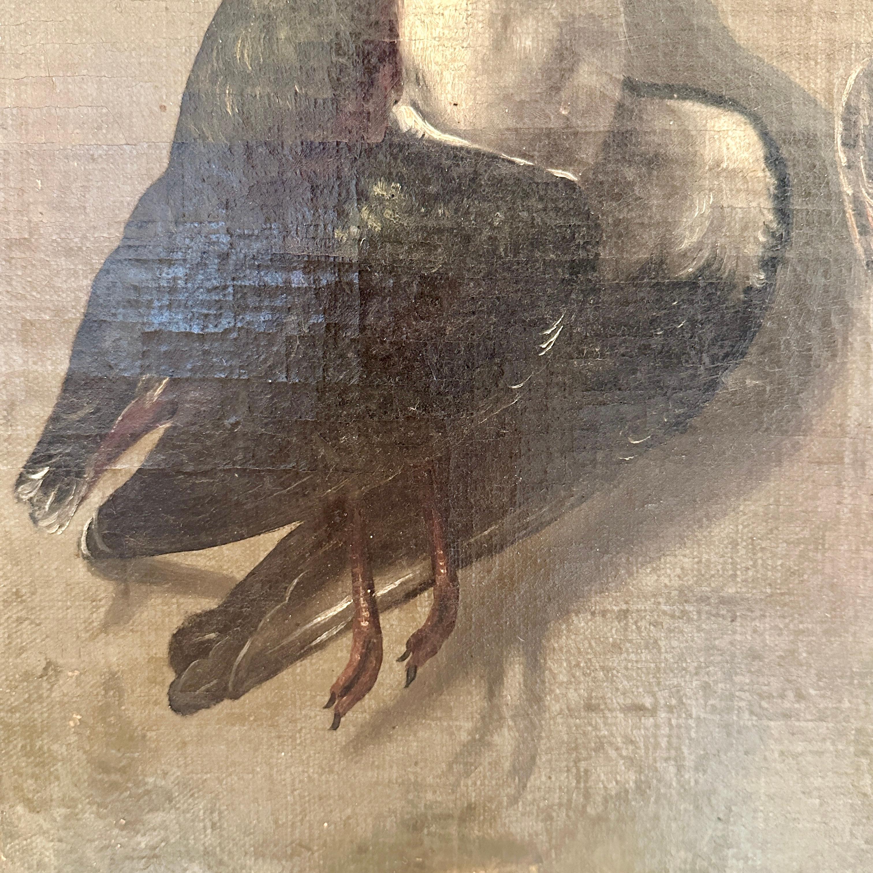 Late 18th Century Realism Still-Life Oil Painting of Birds, Heinrich Lihl, 1780 For Sale 4
