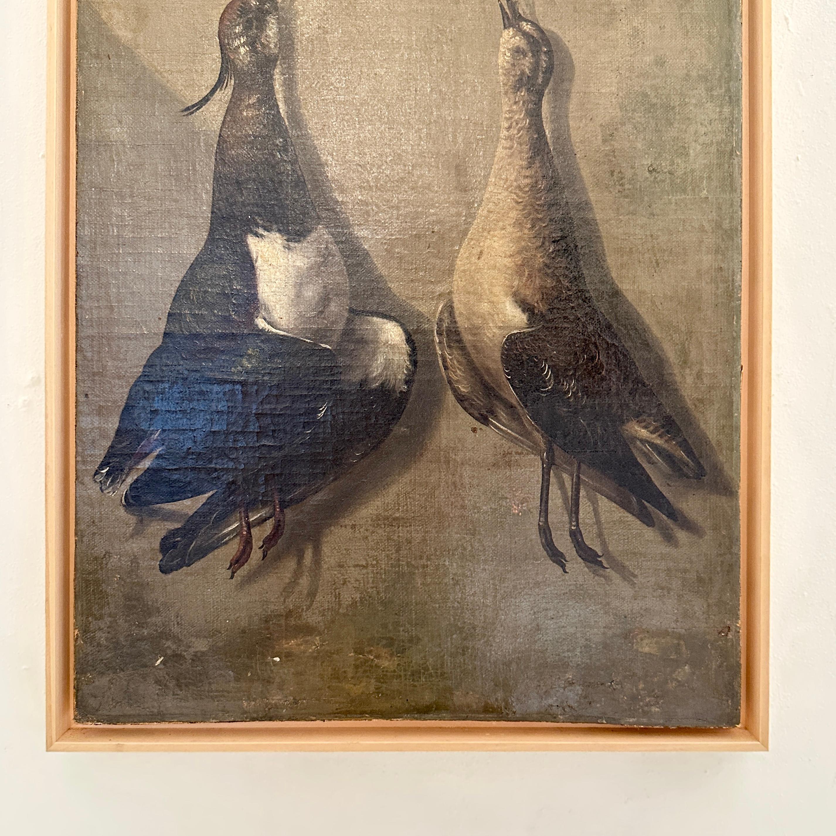 Late 18th Century Realism Still-Life Oil Painting of Birds, Heinrich Lihl, 1780 In Good Condition For Sale In Berlin, DE