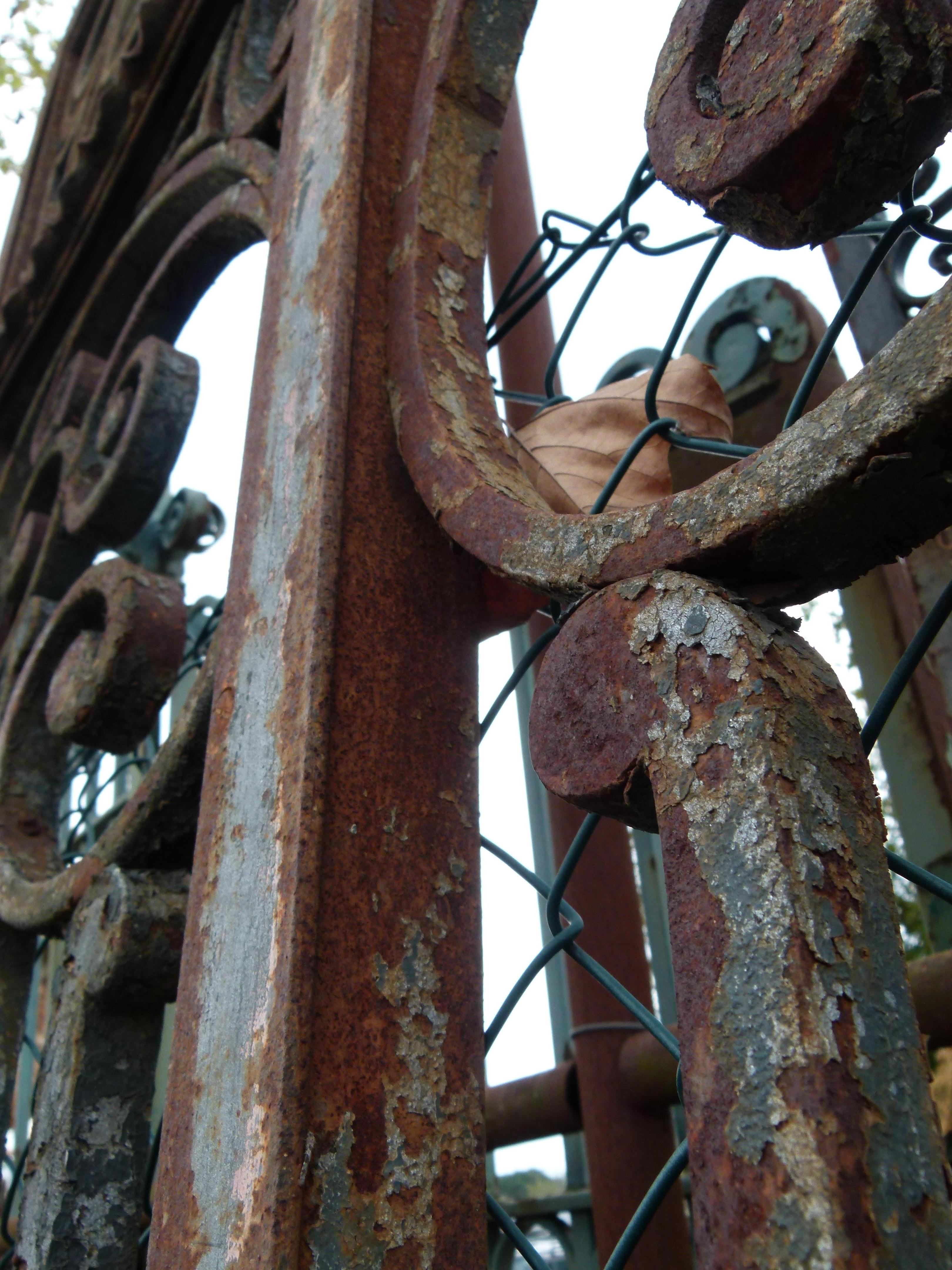  Old Spanish Iron Front Gate 4