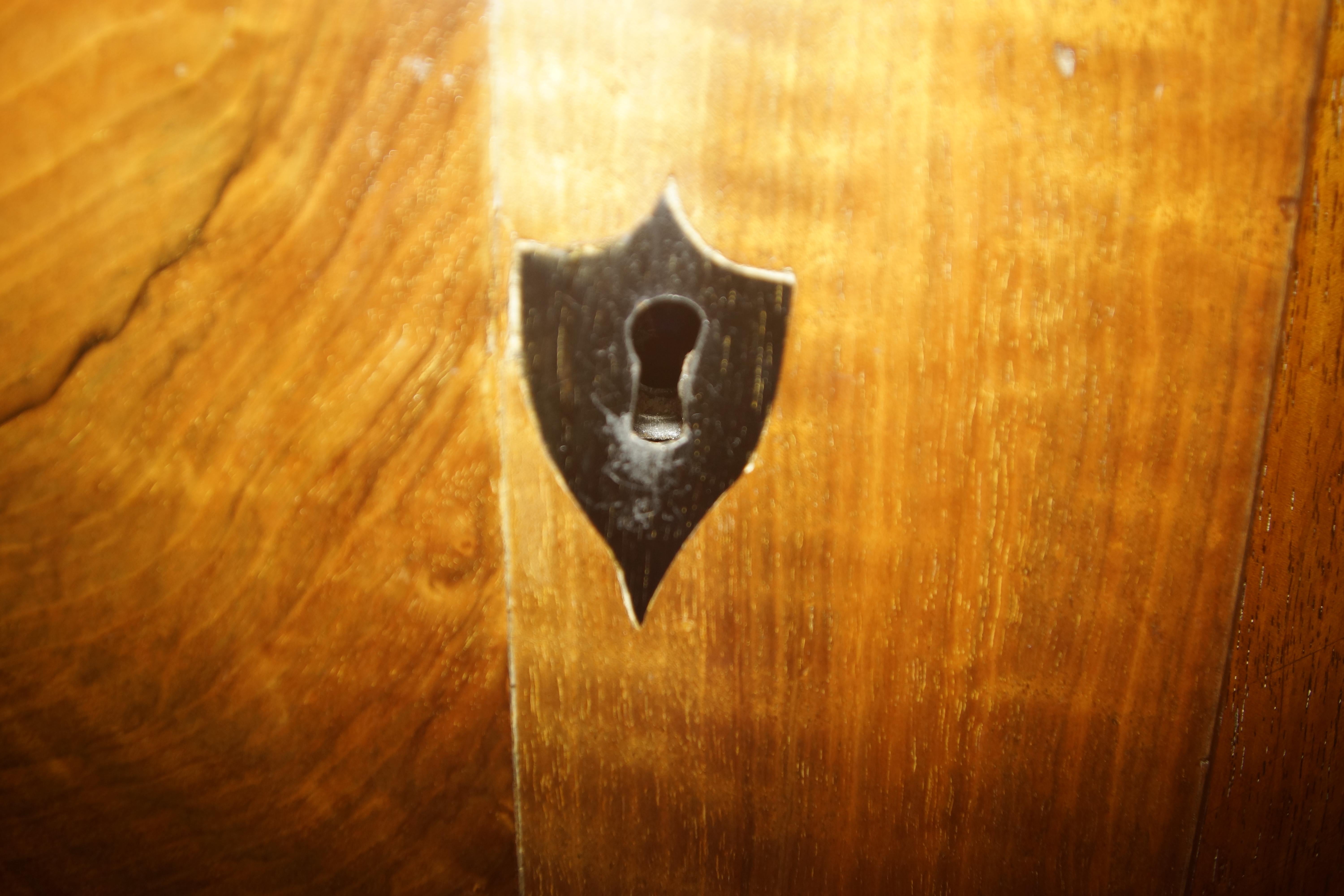 Nussbaumschrank aus Mitteldeutschland, 18. Jahrhundert im Angebot 5