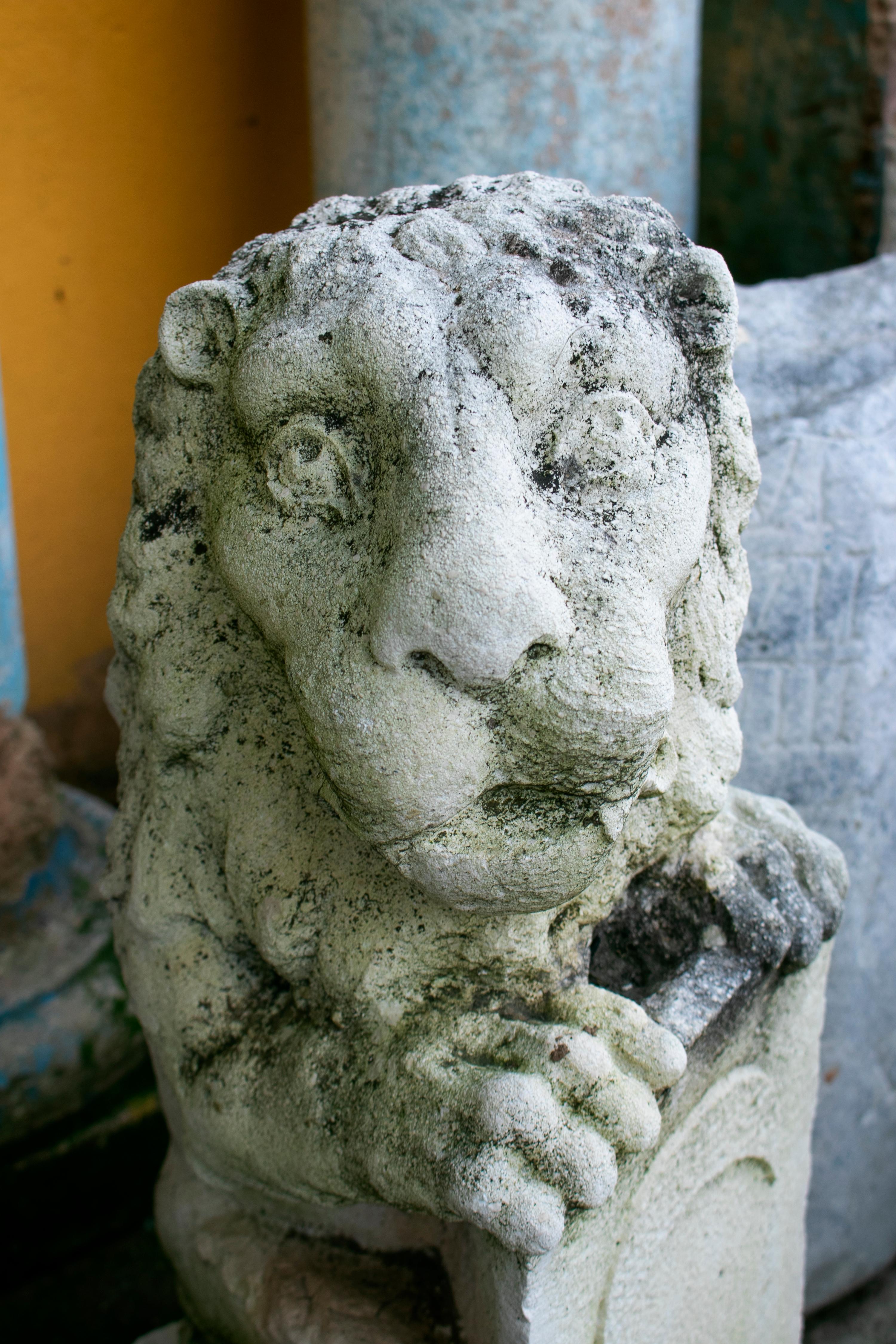 Late 18th-Early 19th Century Spanish Pair of Hand Carved Lions Holding Shields 2