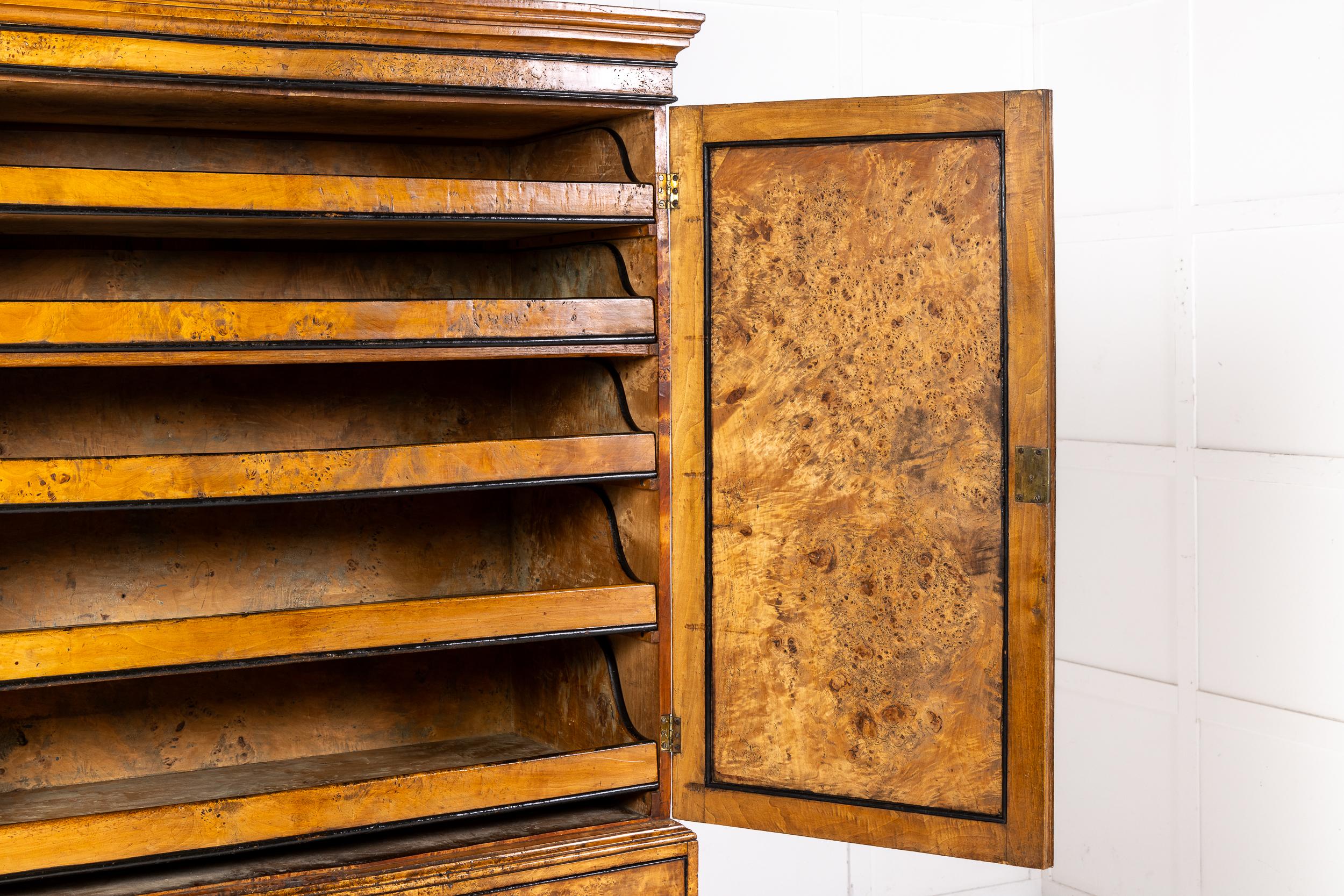 Late 18th/Early 19th Century Sycamore Linen Press In Good Condition For Sale In Gloucestershire, GB