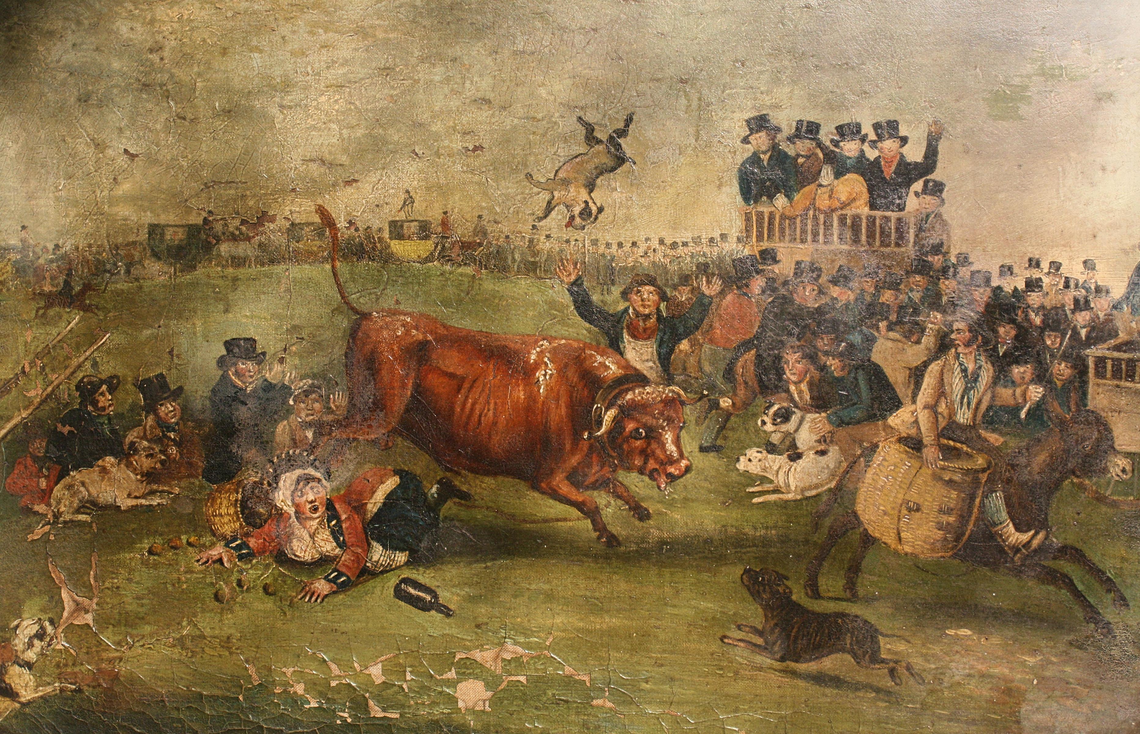 A late 18th century oil on canvas depicting a bull baiting scene 

In England during the time of Queen Anne, bull-baiting was practised in London at Hockley-in-the-Hole, twice a week – and was also reasonably common in Provincial towns. At