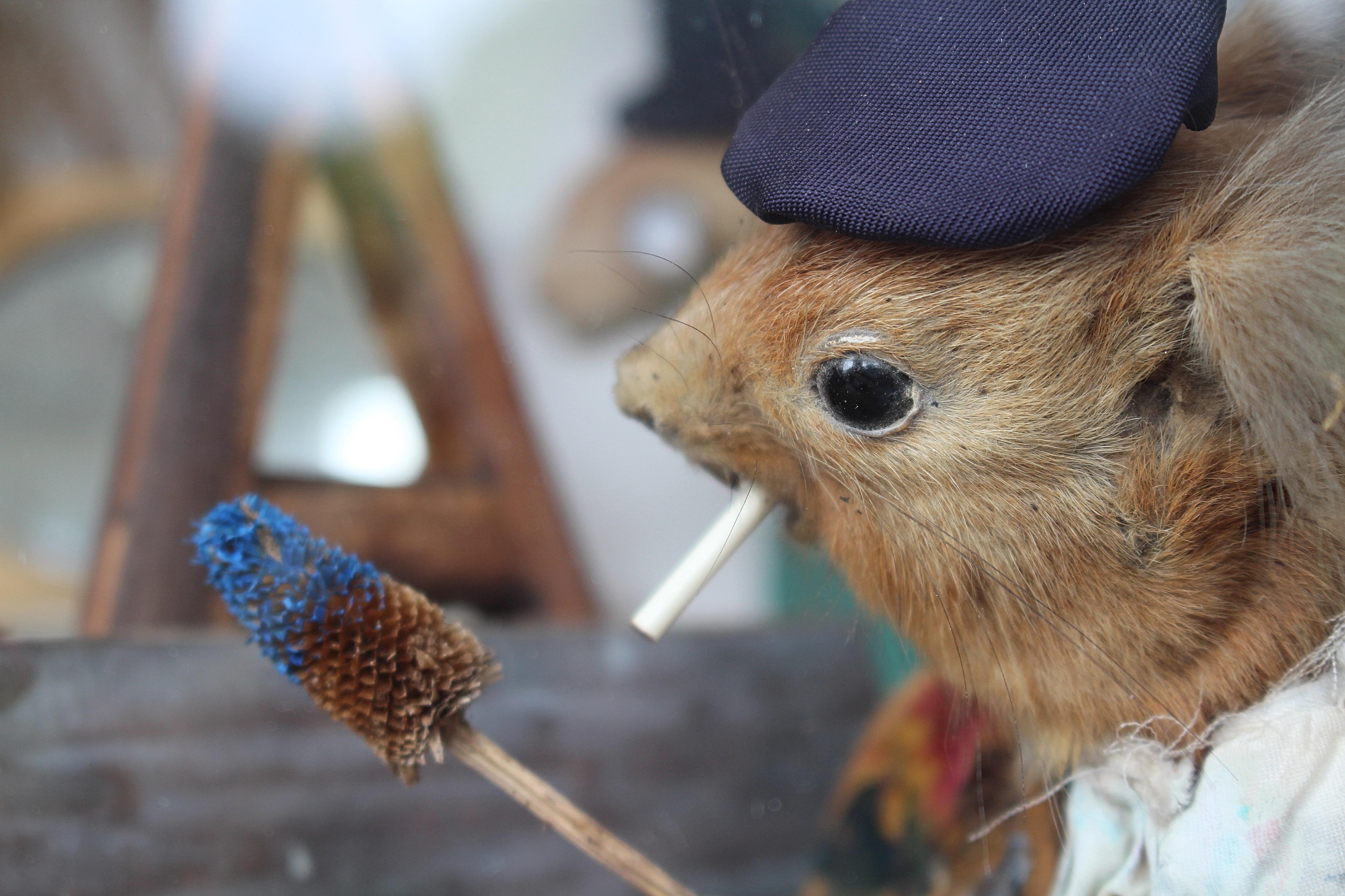Artiste de scène de taxidermie anthropomorphe de la fin du 19e siècle par William Drew en vente 3
