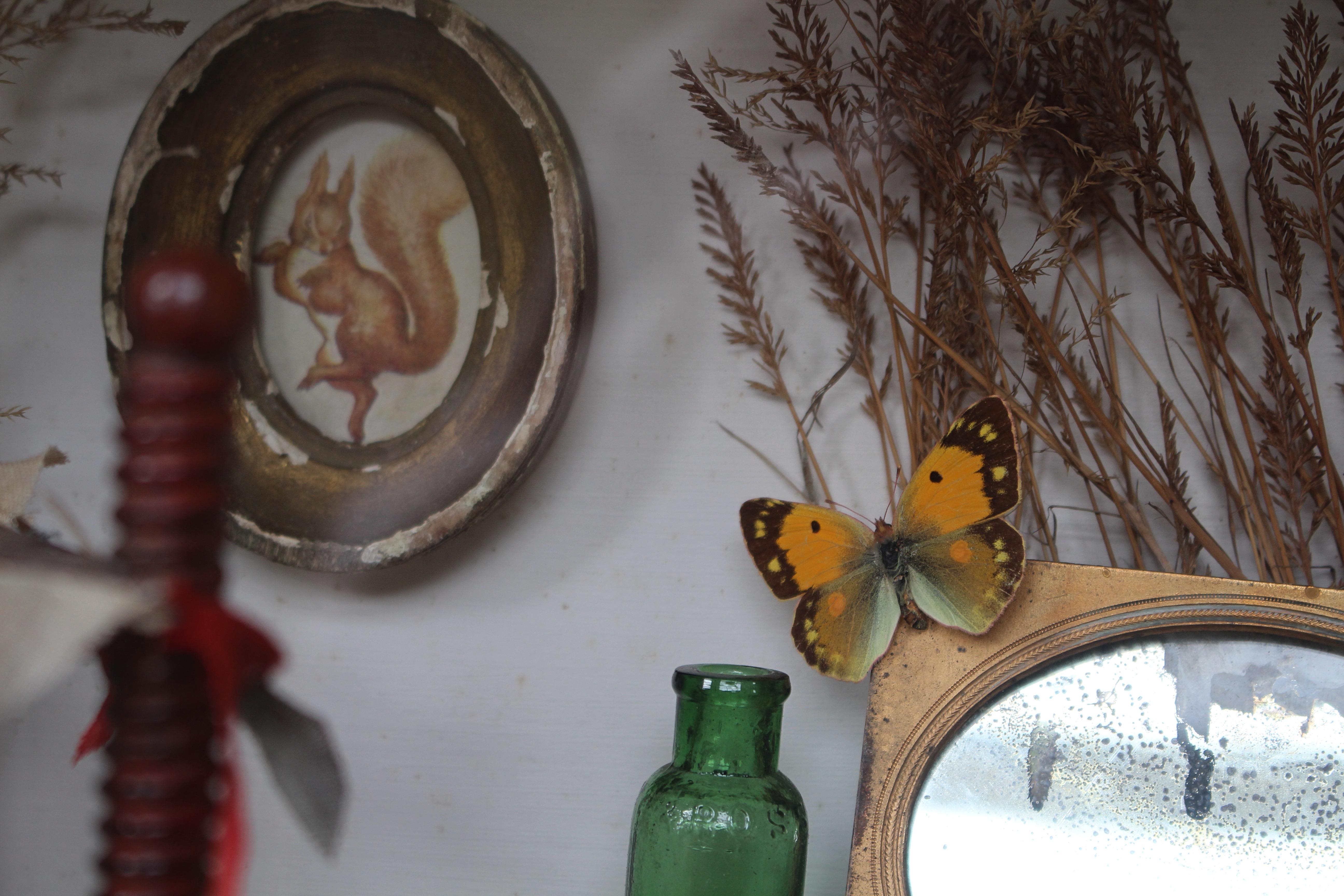 Artiste de scène de taxidermie anthropomorphe de la fin du 19e siècle par William Drew en vente 4