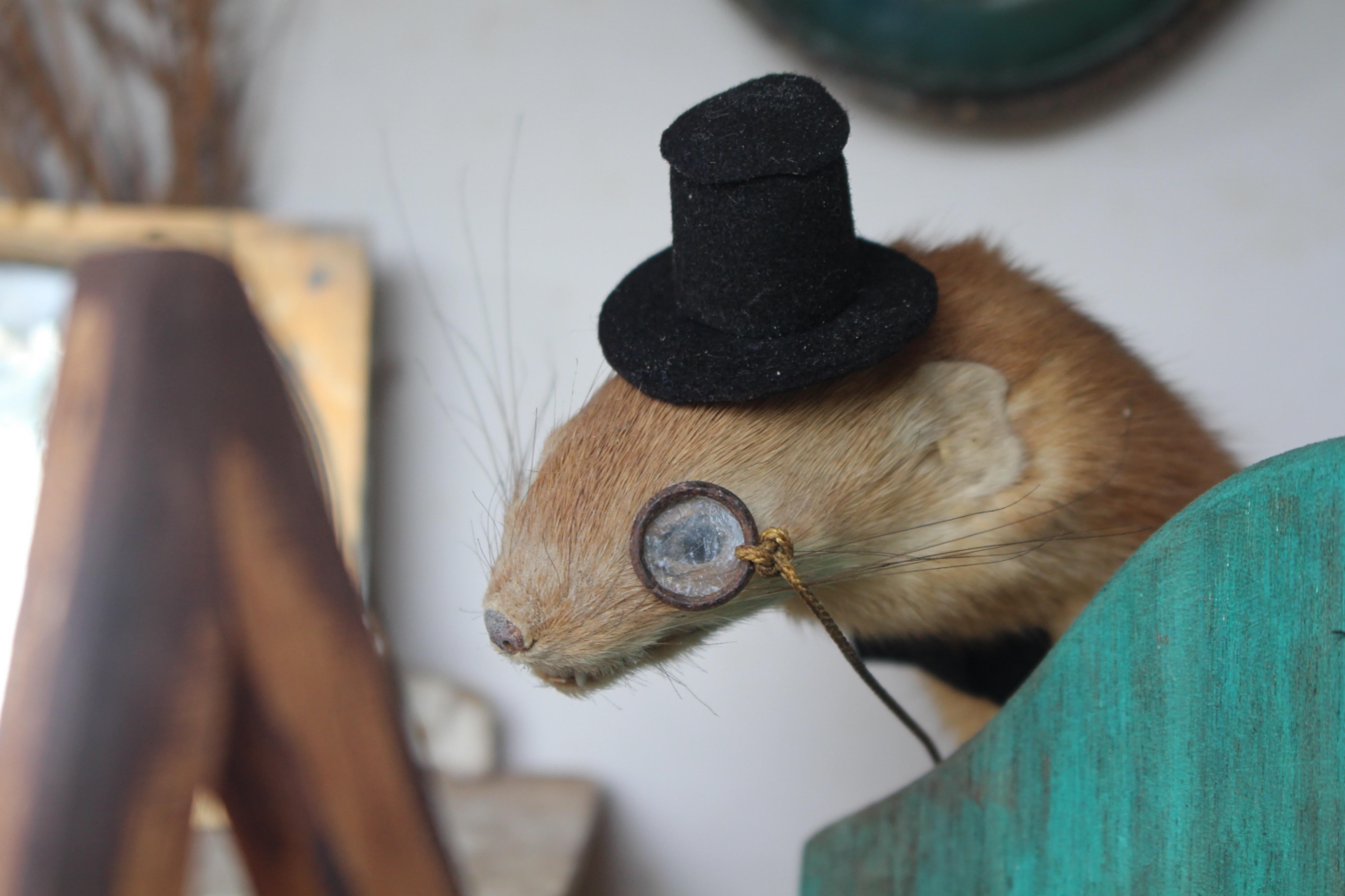 Artiste de scène de taxidermie anthropomorphe de la fin du 19e siècle par William Drew en vente 5