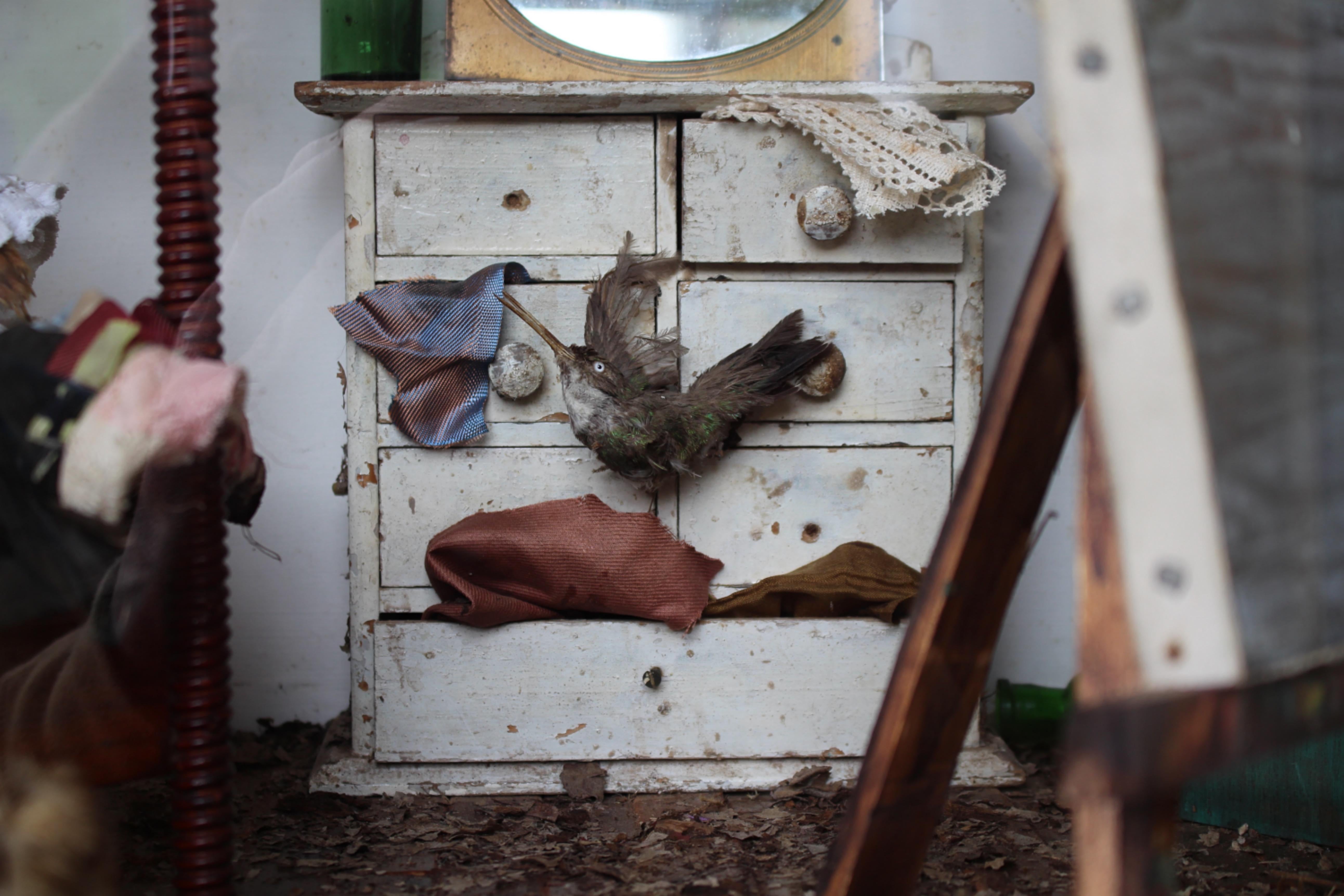 Artiste de scène de taxidermie anthropomorphe de la fin du 19e siècle par William Drew en vente 7