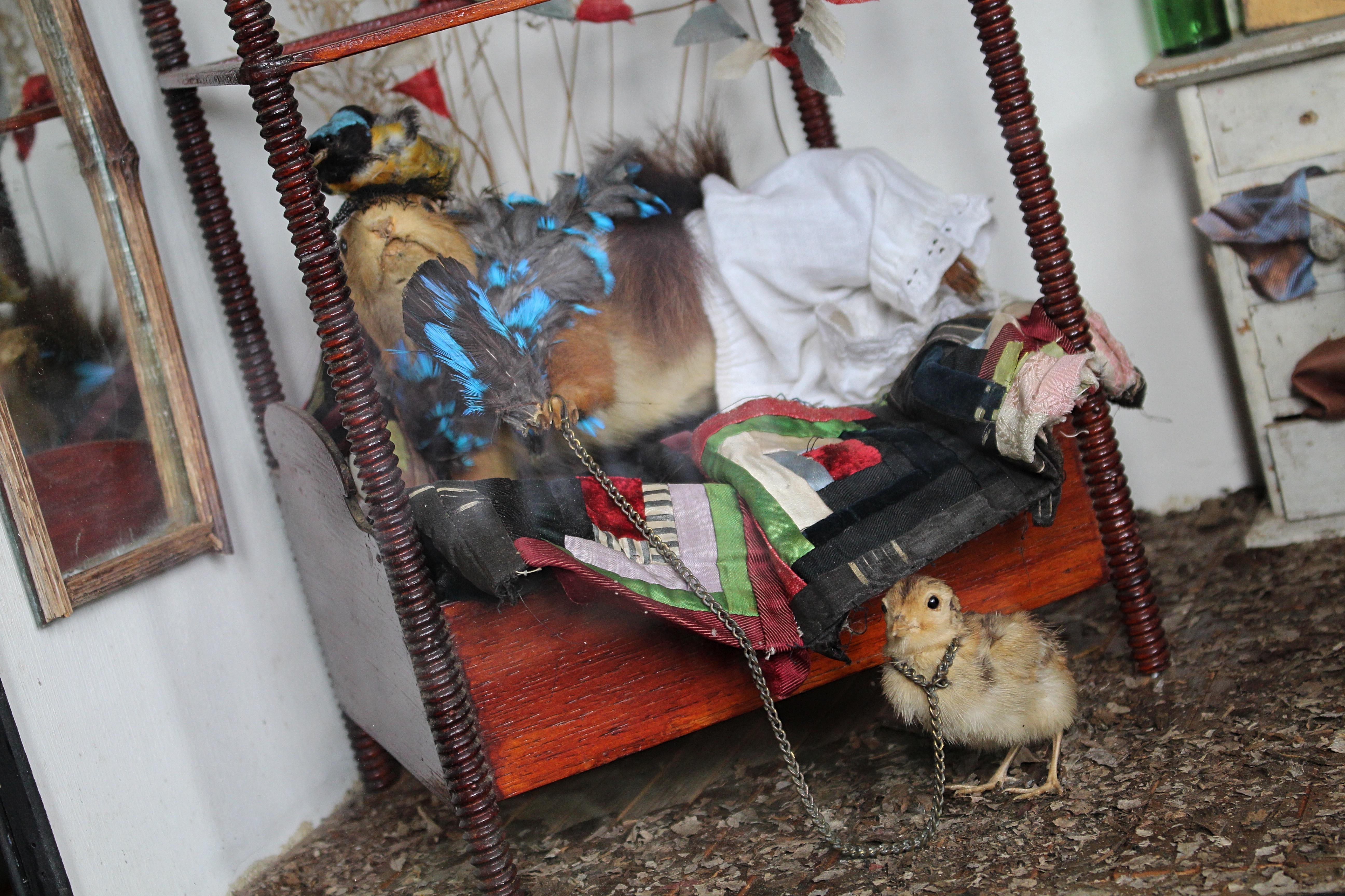 Britannique Artiste de scène de taxidermie anthropomorphe de la fin du 19e siècle par William Drew en vente