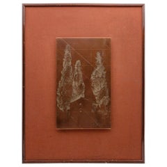 Late 19th Century Framed Copper Etching Plate of Trees and Goats