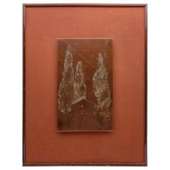 Late 19th Century Framed Copper Etching Plate of Trees and Goats