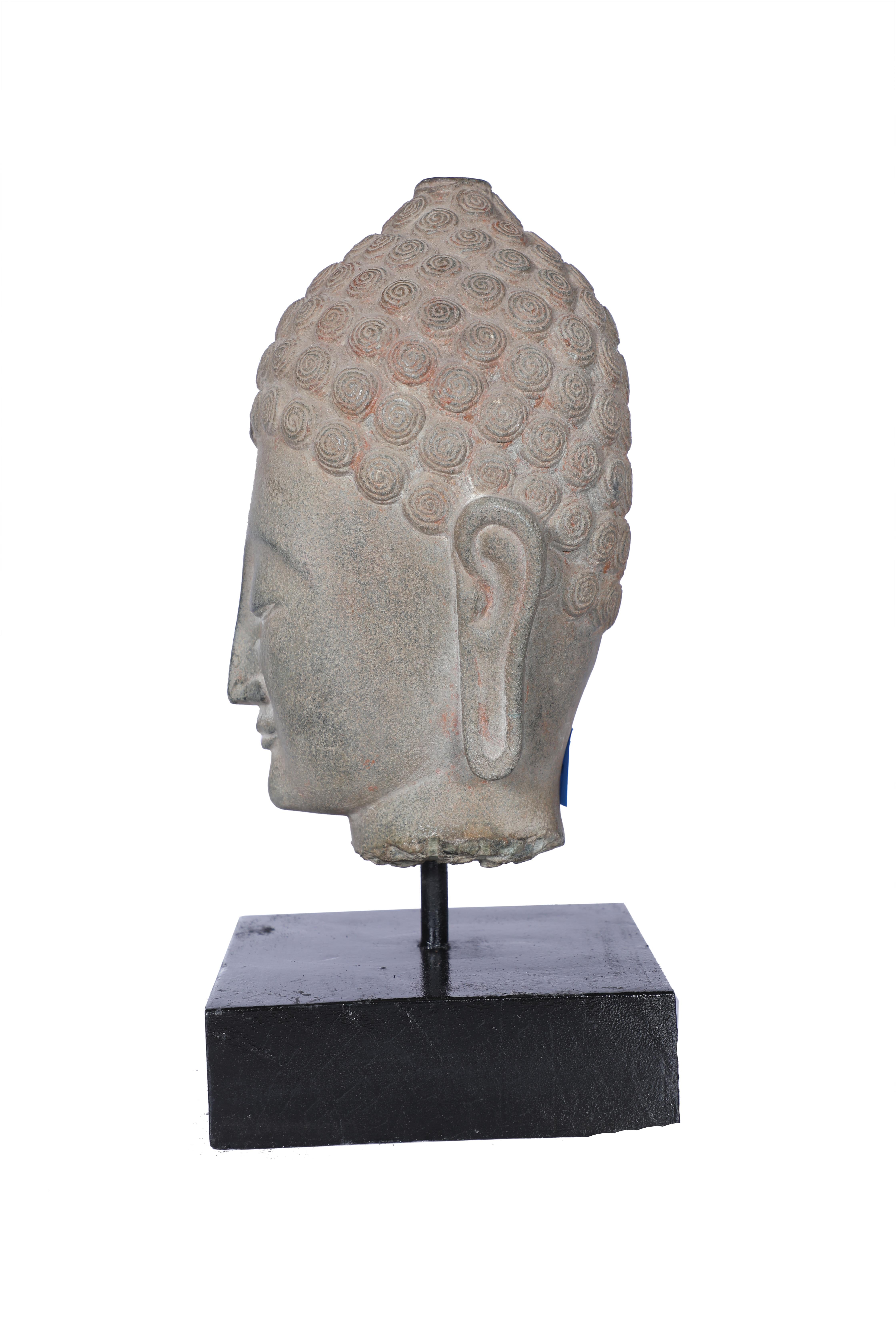 Ein Buddha-Kopf aus Granit aus dem späten 19. Jahrhundert auf einem Holzsockel.  Utttar Pradesh, Nordindien. Zu den handgeschnitzten Merkmalen gehören die typischen Schneckenhauslocken, die verlängerten Ohren, die halbgeschlossenen Augen und das