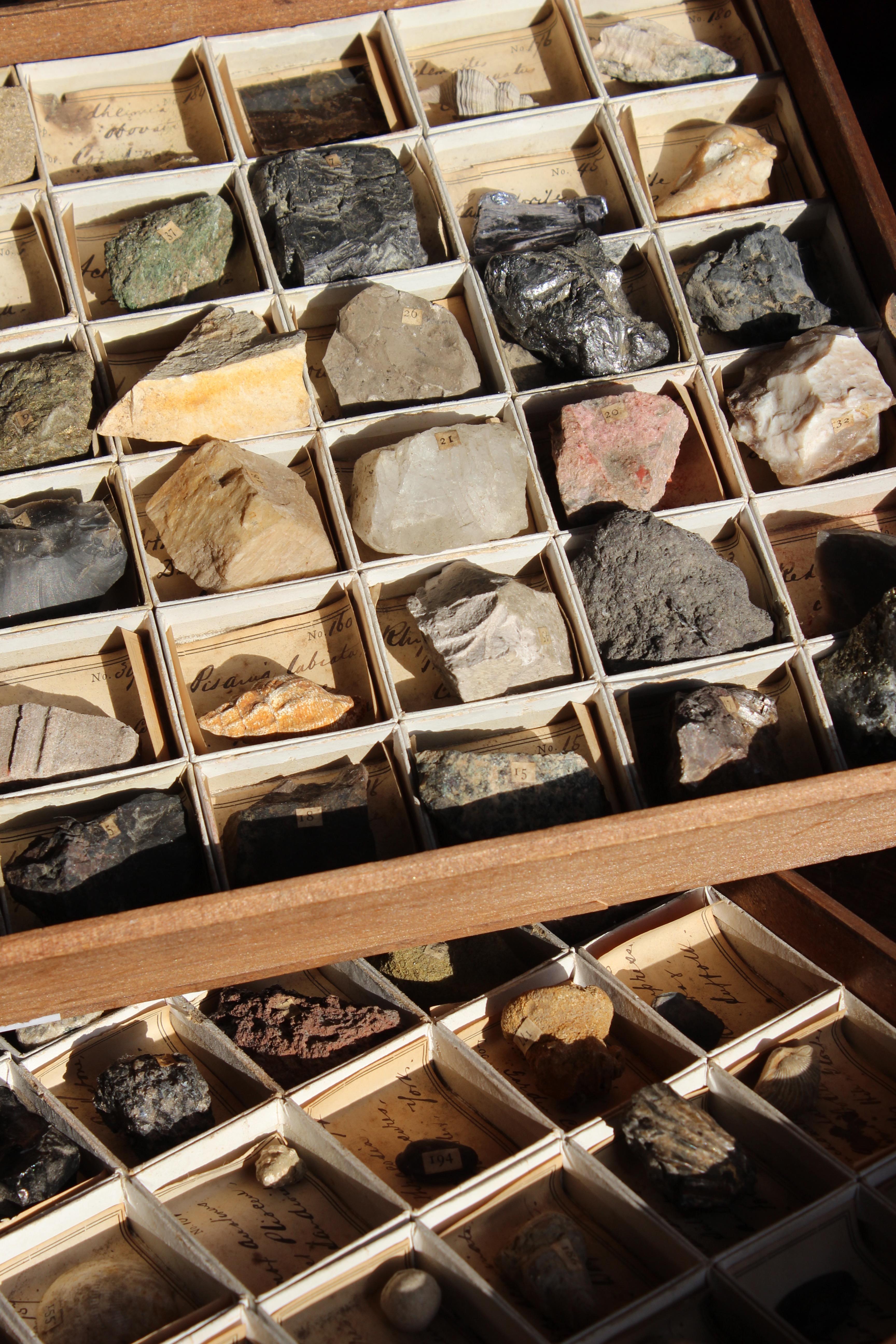 Late 19th C Gregory Bottley Scientific Collection of Mineral Fossils Shell  For Sale 5