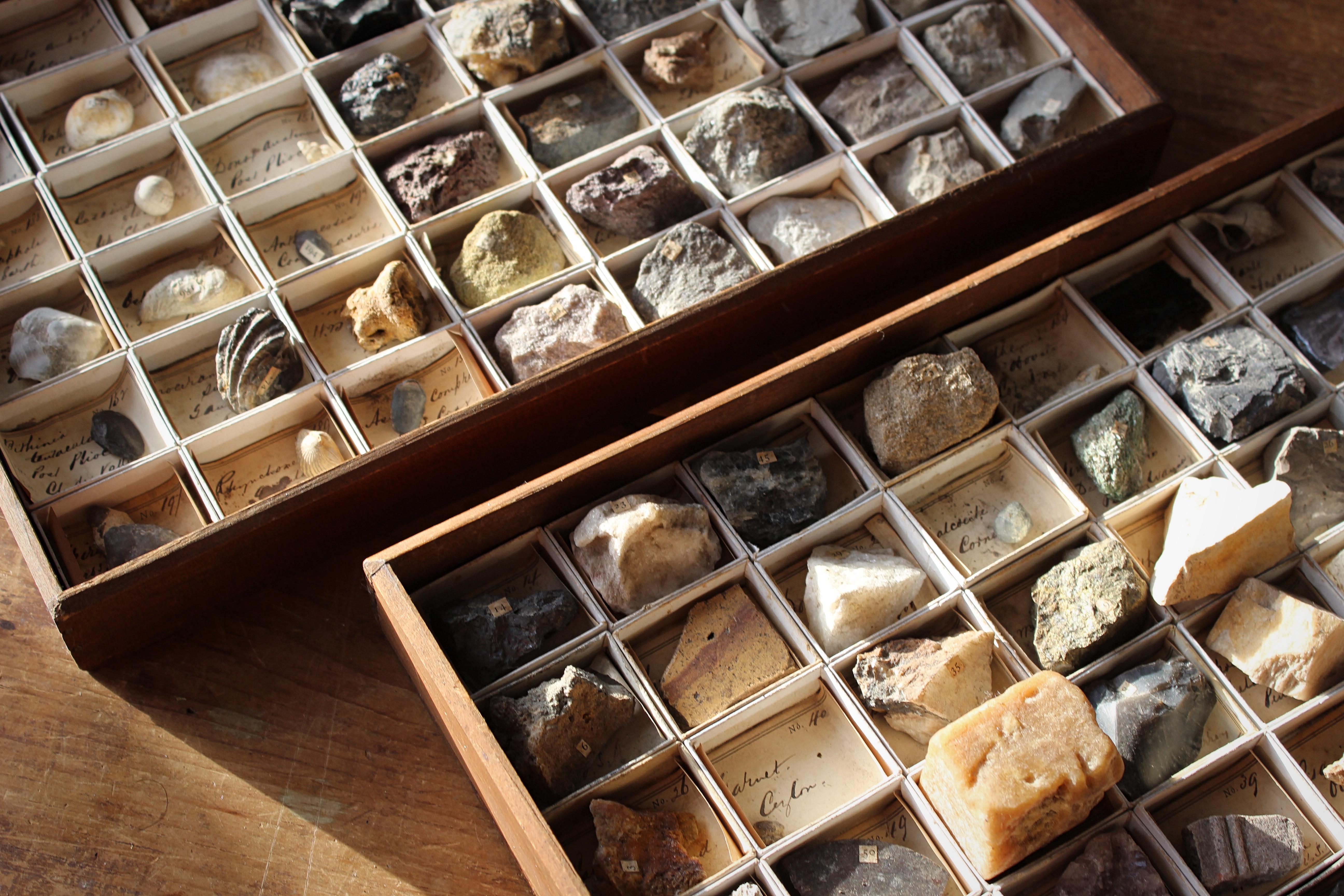 A good collection of Gregory Bottley mineral, fossils and shell all contained in there original teak trays and card board sleeves.

Each specimen has its original hand written and numbered inner label, with the majority having a corresponding number
