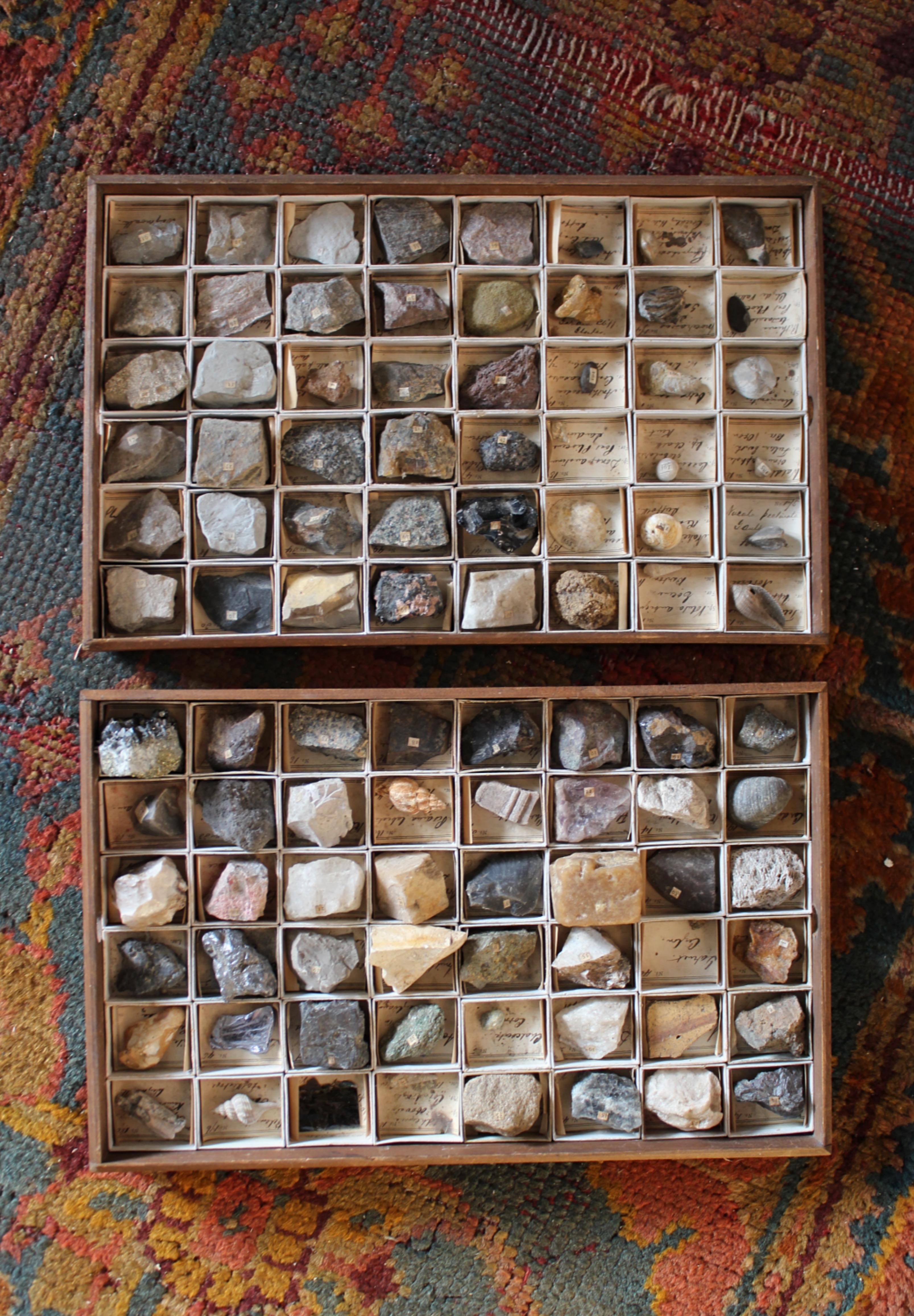 Natural Fiber Late 19th C Gregory Bottley Scientific Collection of Mineral Fossils Shell  For Sale