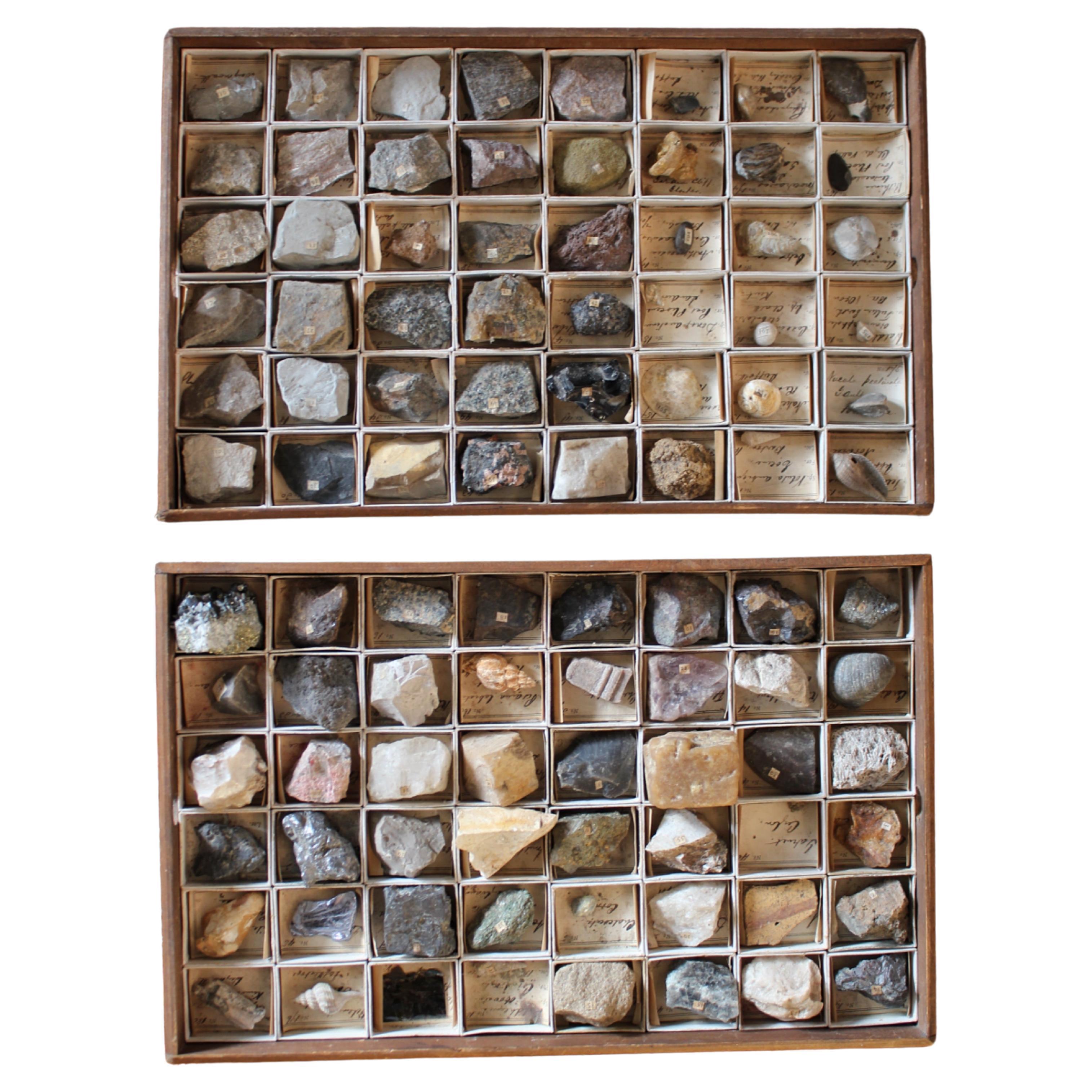 Late 19th C Gregory Bottley Scientific Collection of Mineral Fossils Shell  For Sale