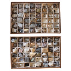 Collection scientifique de fossiles minéraux de Gregory Bottley de la fin du 19e siècle 