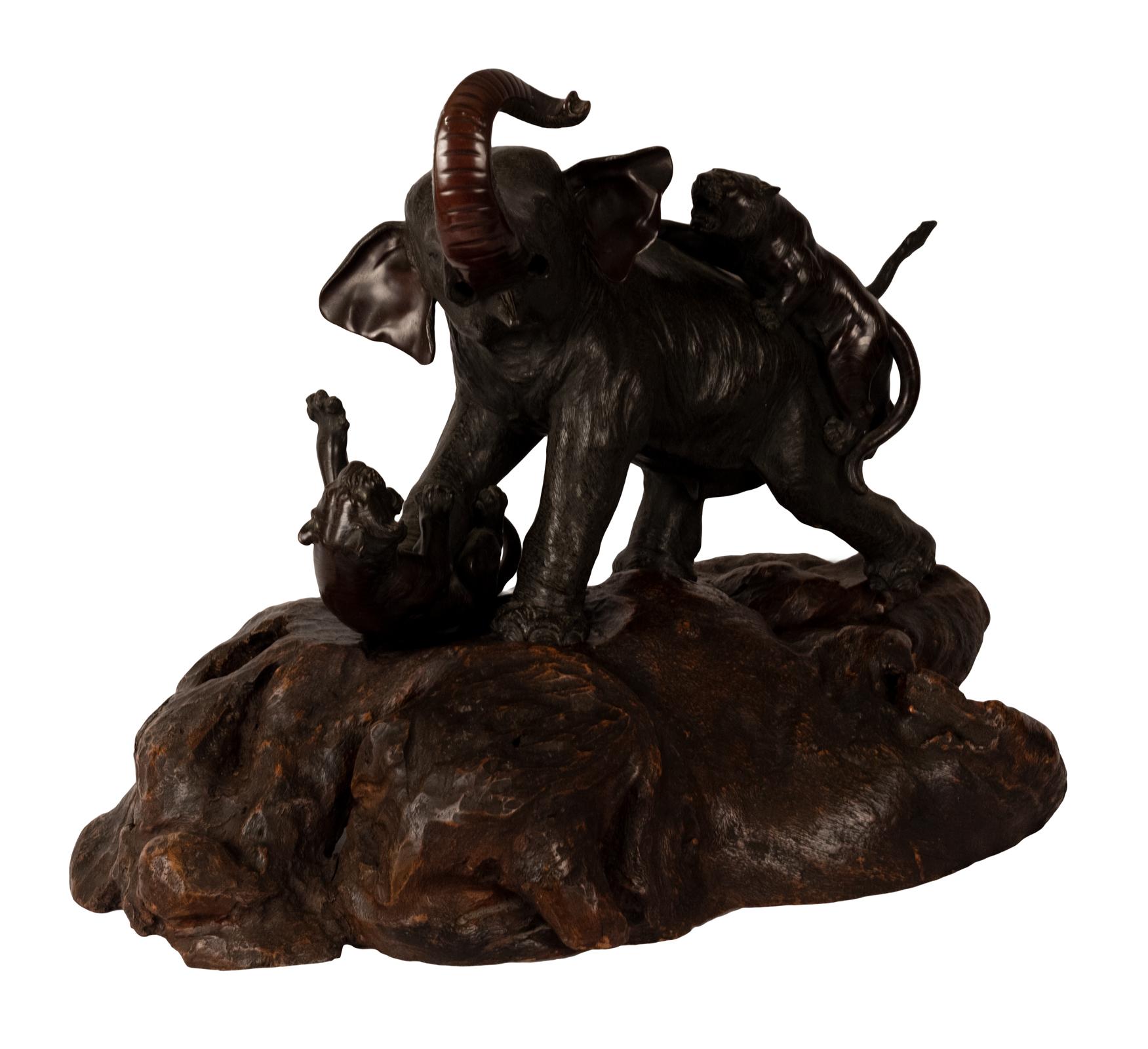 A Japanese wood and bronze elephant and tiger sculpture from the late Meiji period (1868-1912), the bull elephant with a pair of attaching tigers, one on its back and the other at its underbelly, raised on a large naturalistic formed root piece. The