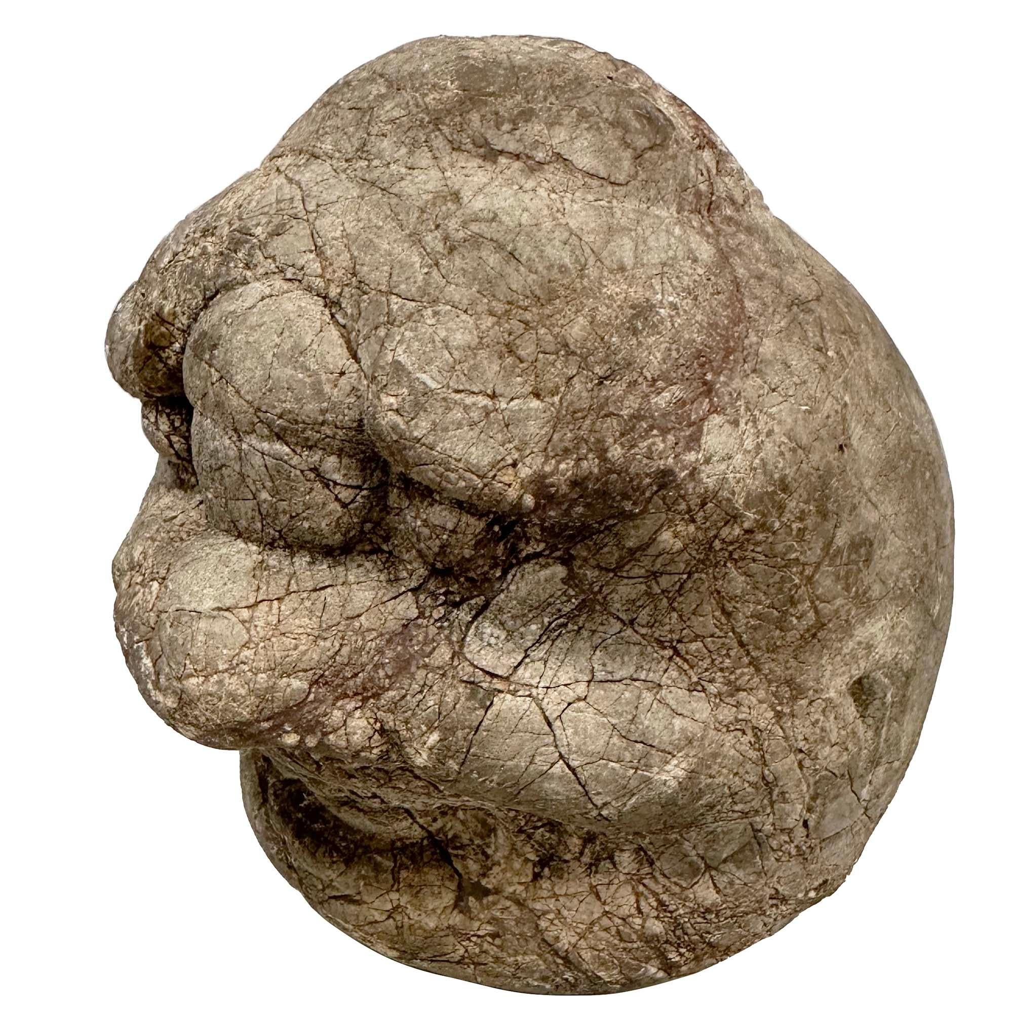 Questa magnifica testa di Eracle cinese scolpita proviene dalla provincia di Shaan Xi, nel nord-est della Cina. Presenta bellissimi lavori di intaglio a mano sulla testa. Presenta lavori di intaglio a mano molto dettagliati e presenta molti segni di