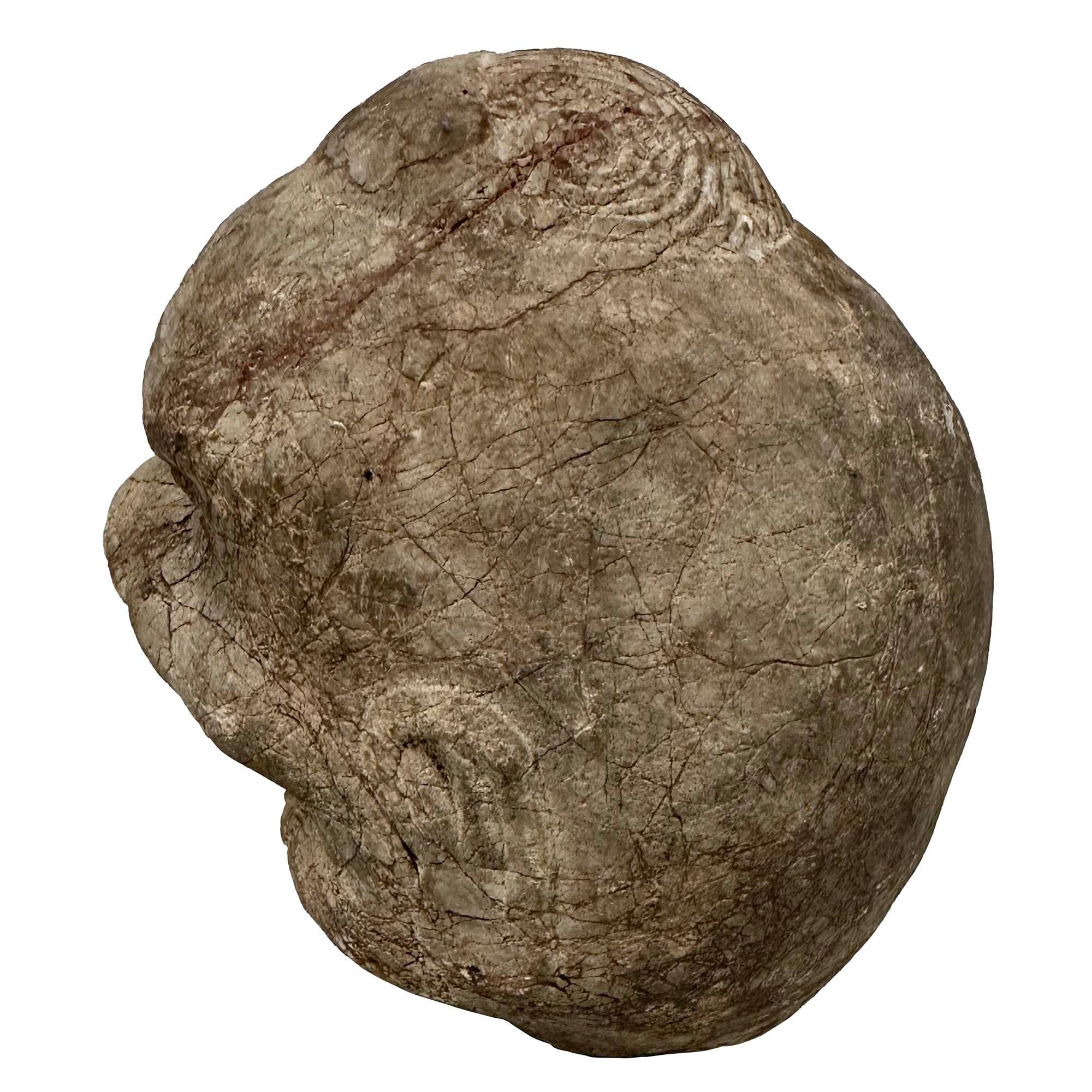 Esportazione cinese Testa di Eracle in pietra intagliata cinese della fine del XIX secolo in vendita