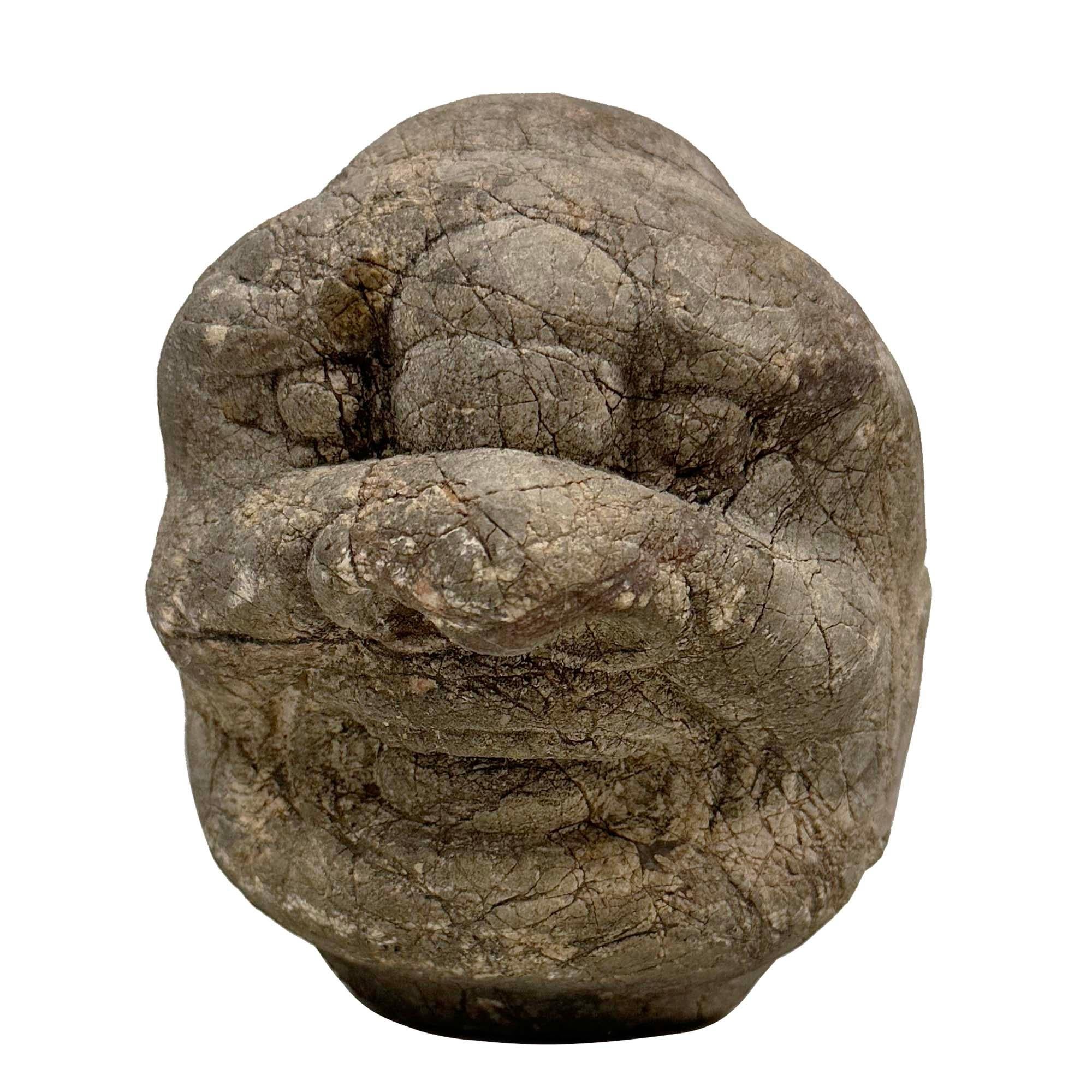 Pietra Testa di Eracle in pietra intagliata cinese della fine del XIX secolo in vendita