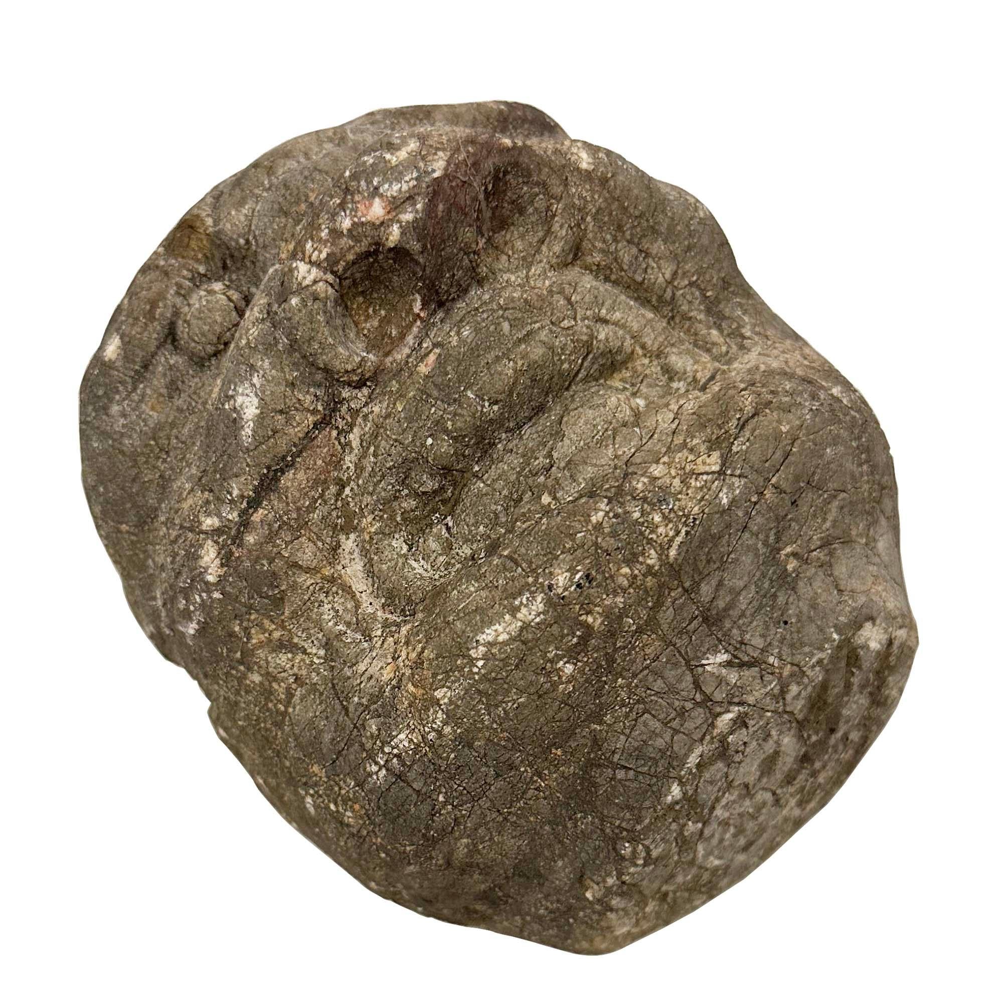 Testa di Eracle in pietra intagliata cinese della fine del XIX secolo in vendita 1