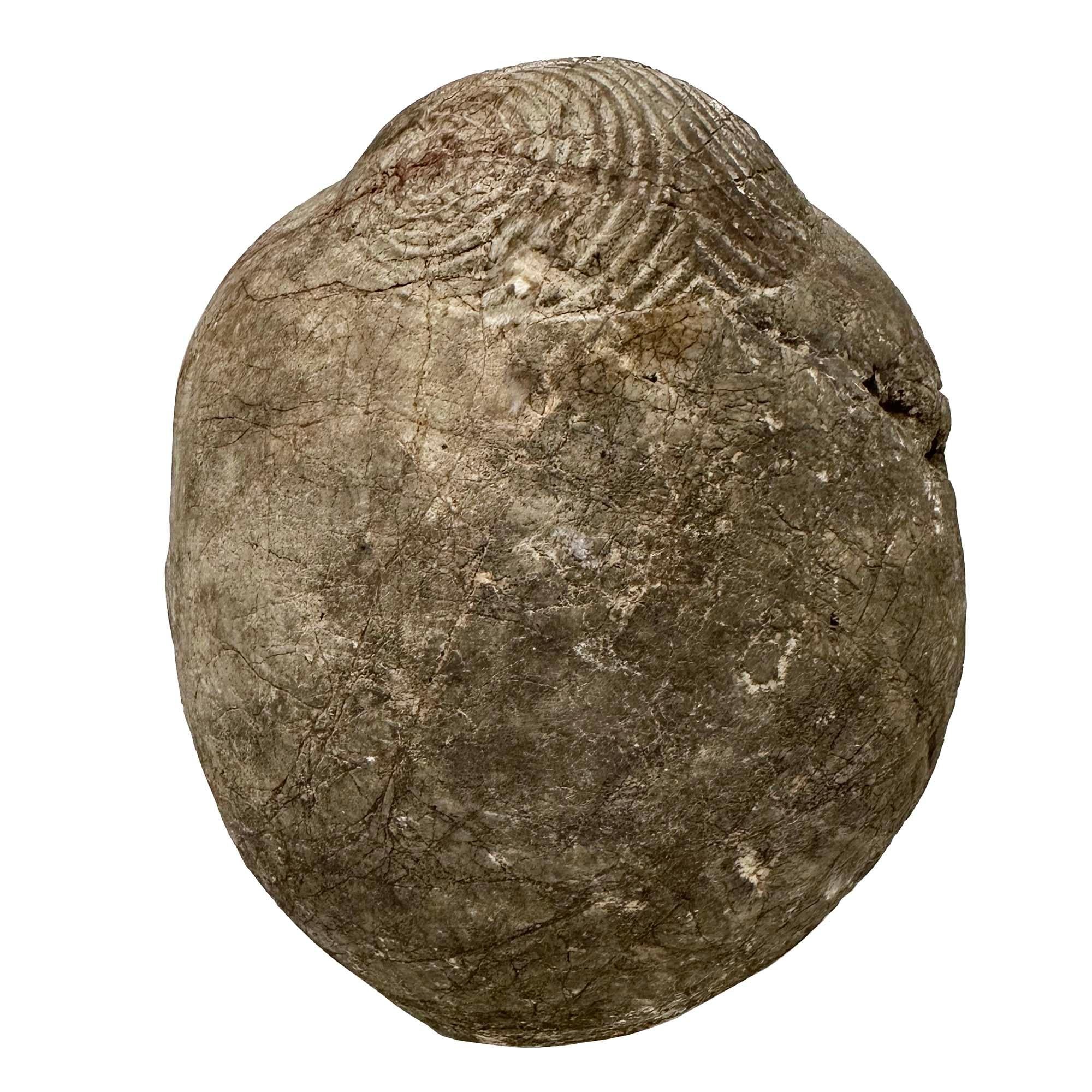 Testa di Eracle in pietra intagliata cinese della fine del XIX secolo in vendita 2