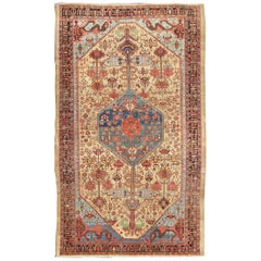 19th Century Antique Persian Bakshaish Rug in Gold, Blue and Multi colors