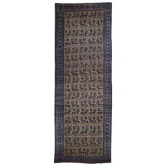 Late 19th Century Antique Persian Bidjar Gallery Size Runner Rug