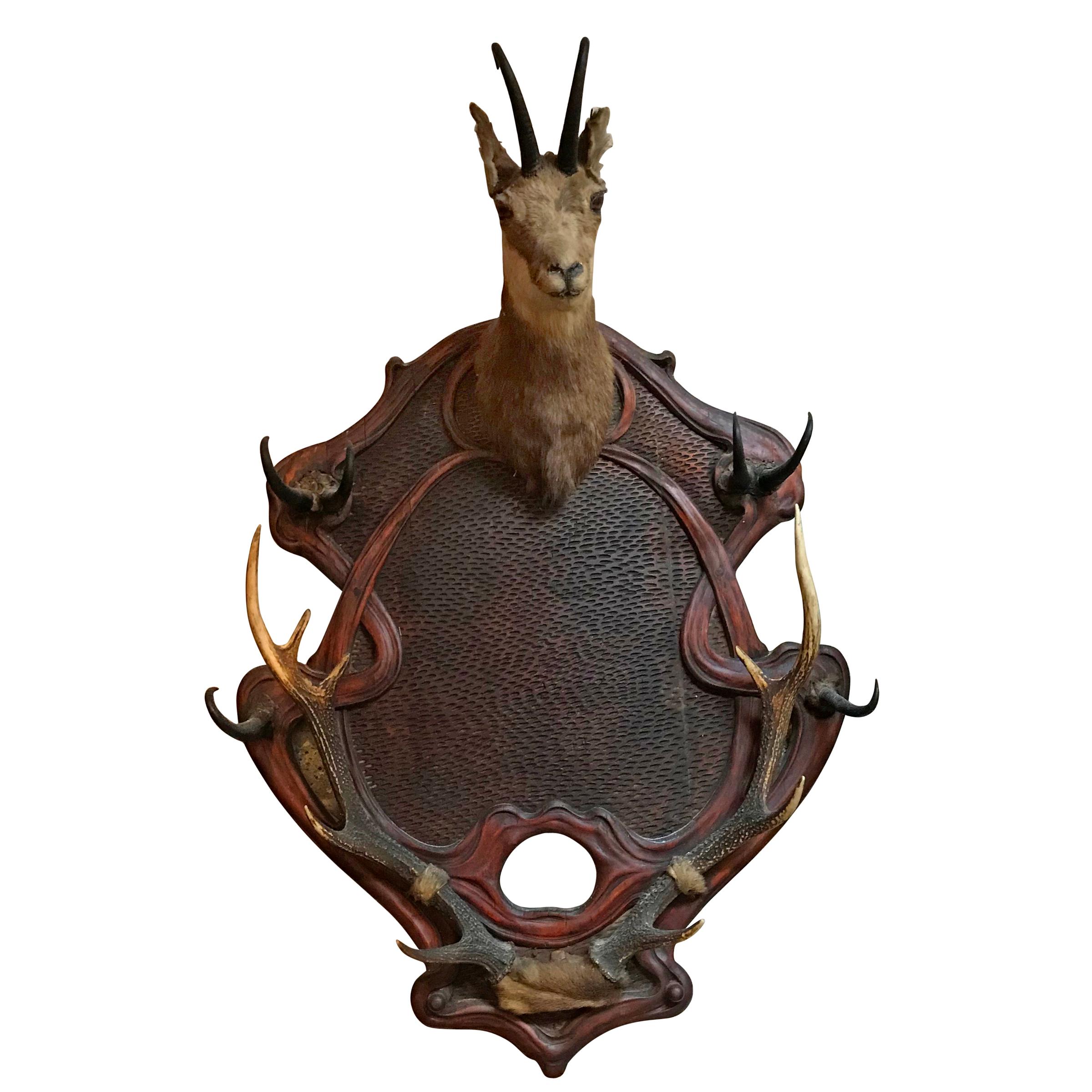 Late 19th Century Art Nouveau Chamois Hat and Coat Rack