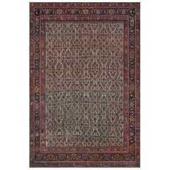 Late 19th Century Bidjar Rug from North West Persia