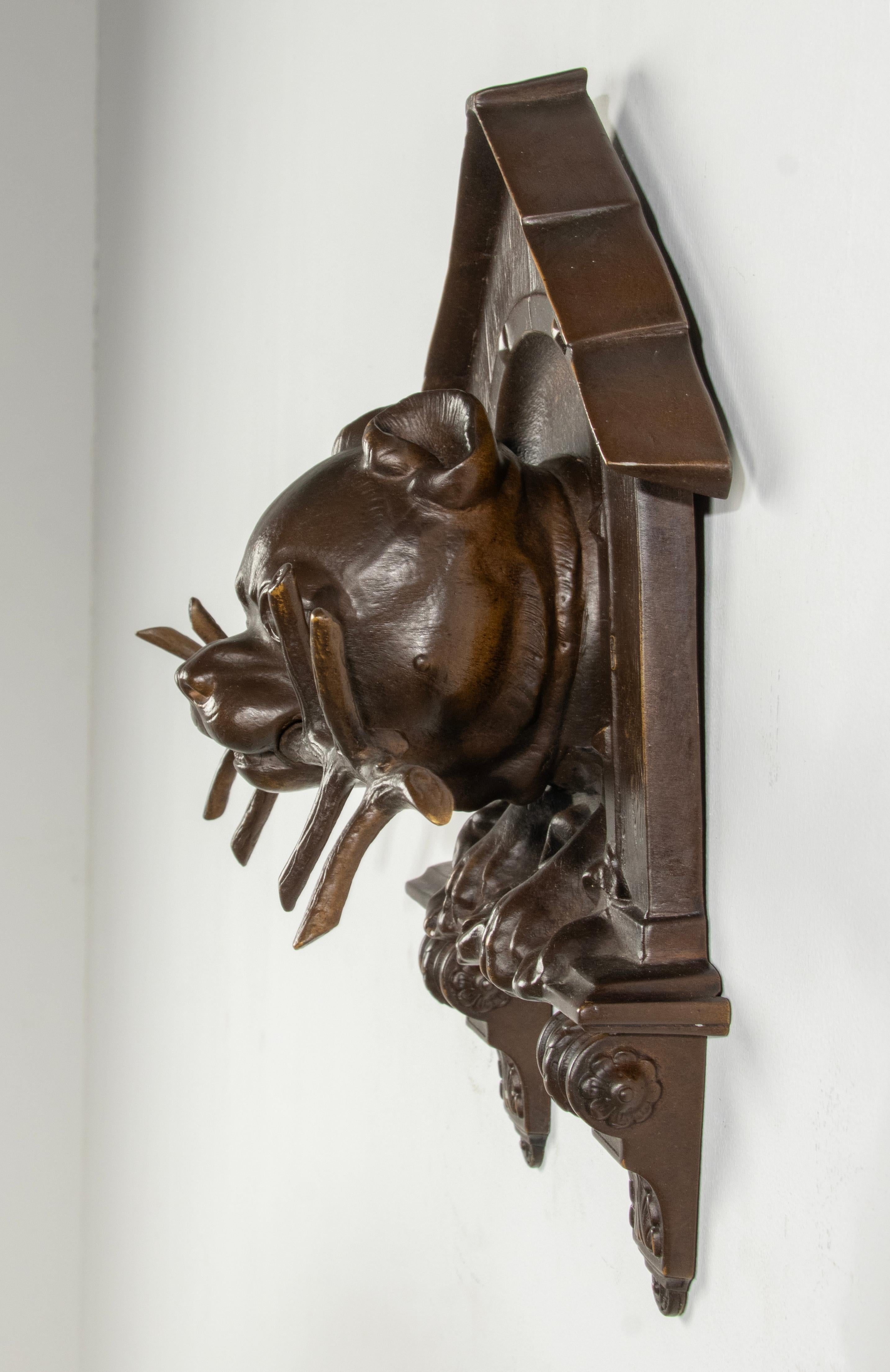 Ende des 19. Jahrhunderts Black Forest Bronze Hundehalsband Wandständer Skulptur Bulldogge im Angebot 1