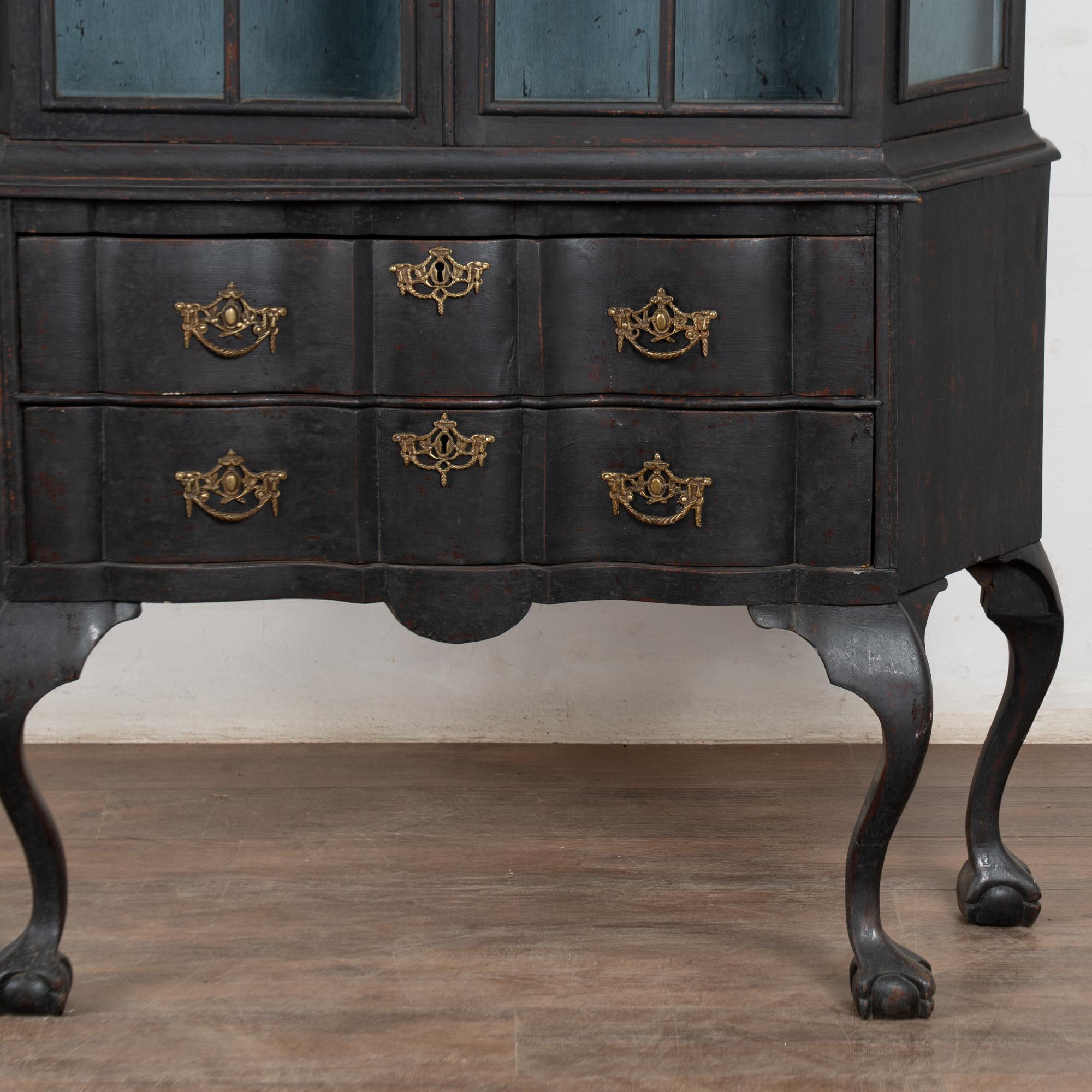 Late 19th Century Black Vitrine Display Curio Cabinet, Denmark For Sale 8