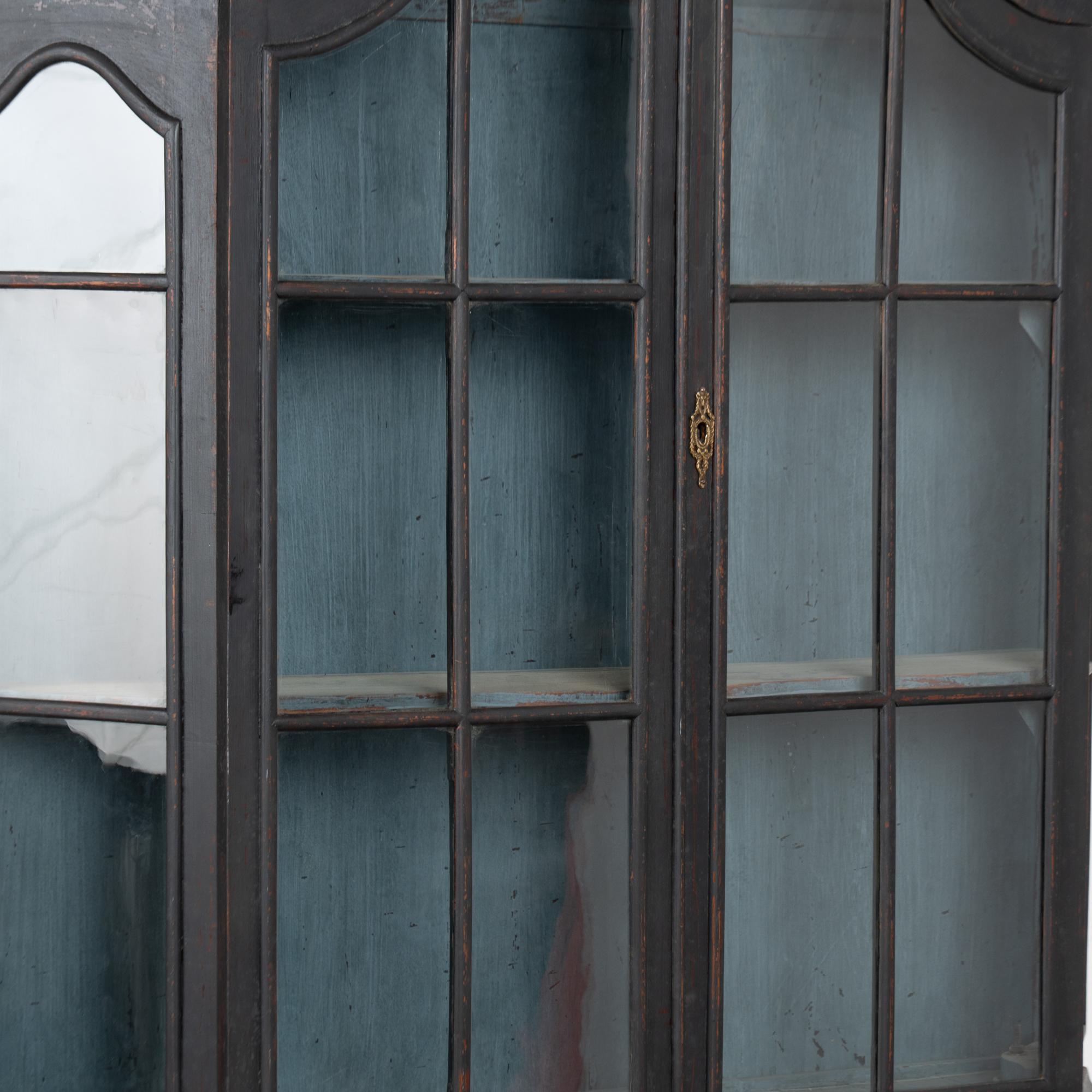 Late 19th Century Black Vitrine Display Curio Cabinet, Denmark For Sale 3