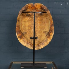 Late 19th Century "Blonde" Turtle Shell