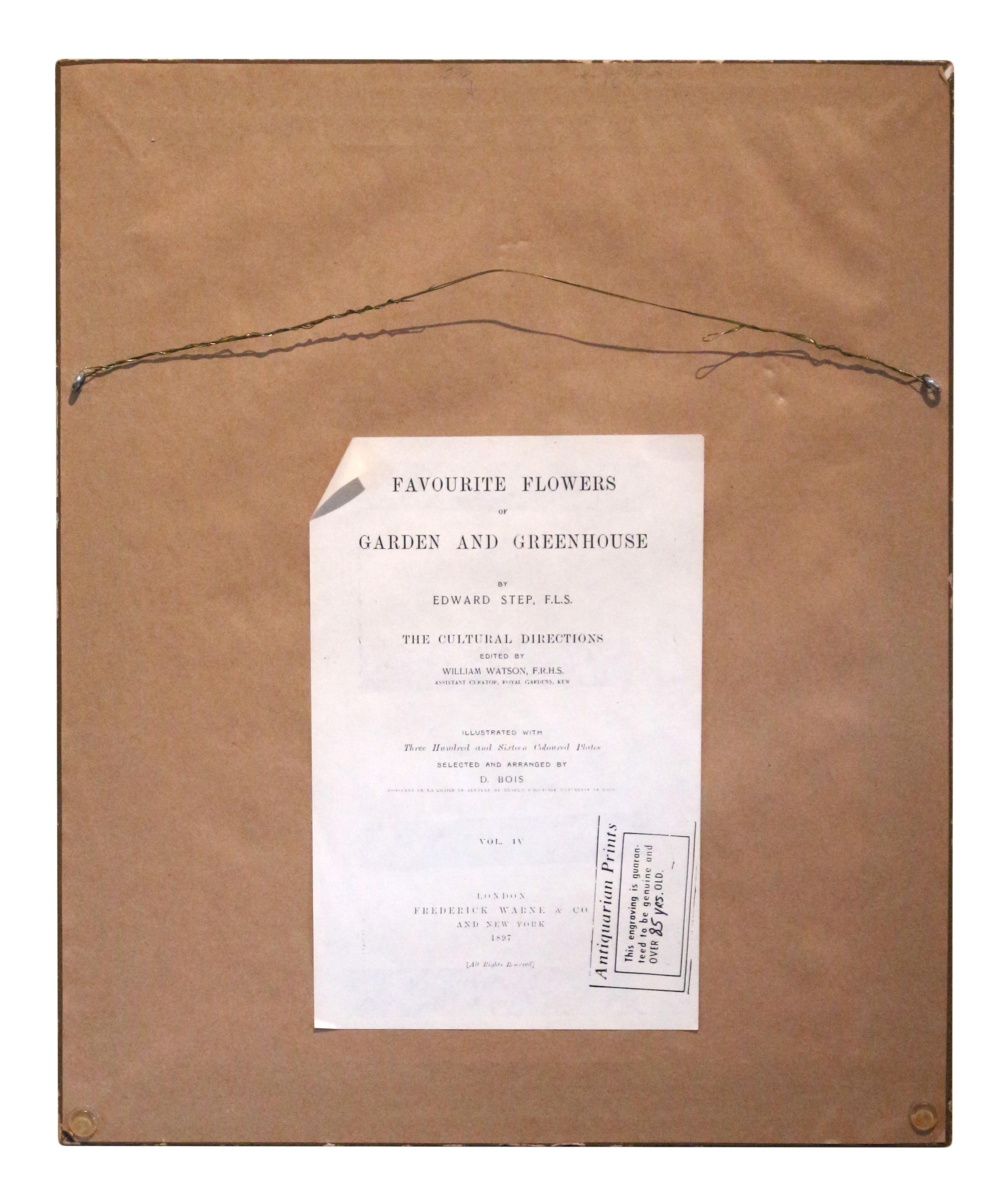 Botanicaler Chromolithographie-Druck des späten 19. Jahrhunderts in vergoldetem Rahmen im Angebot 1