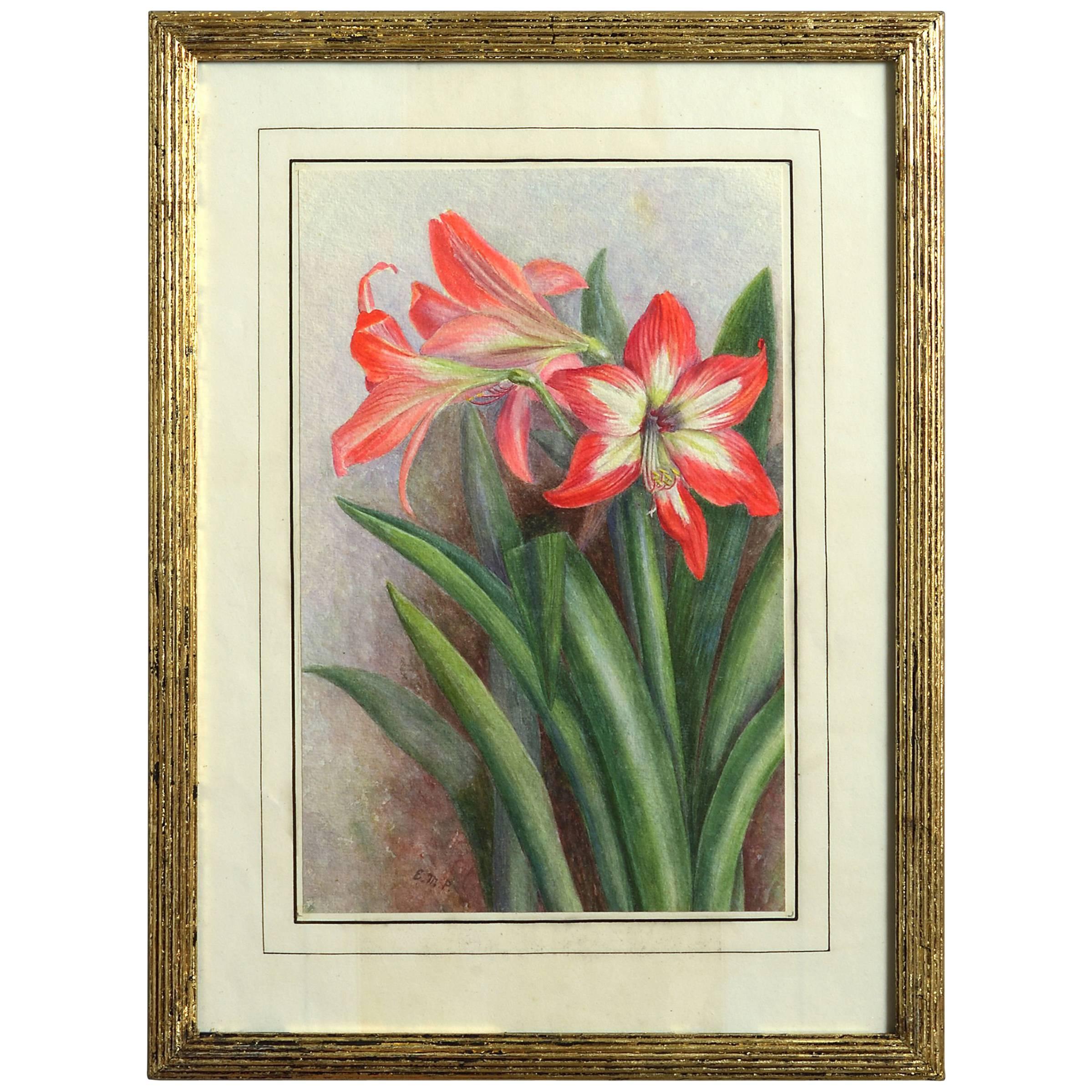 Late 19th Century Botanical Watercolor Depicting Red Lilies