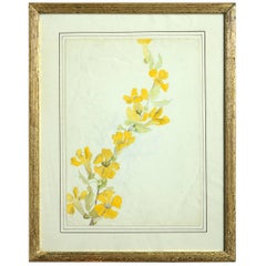 Antique Late 19th Century Botanical Watercolor