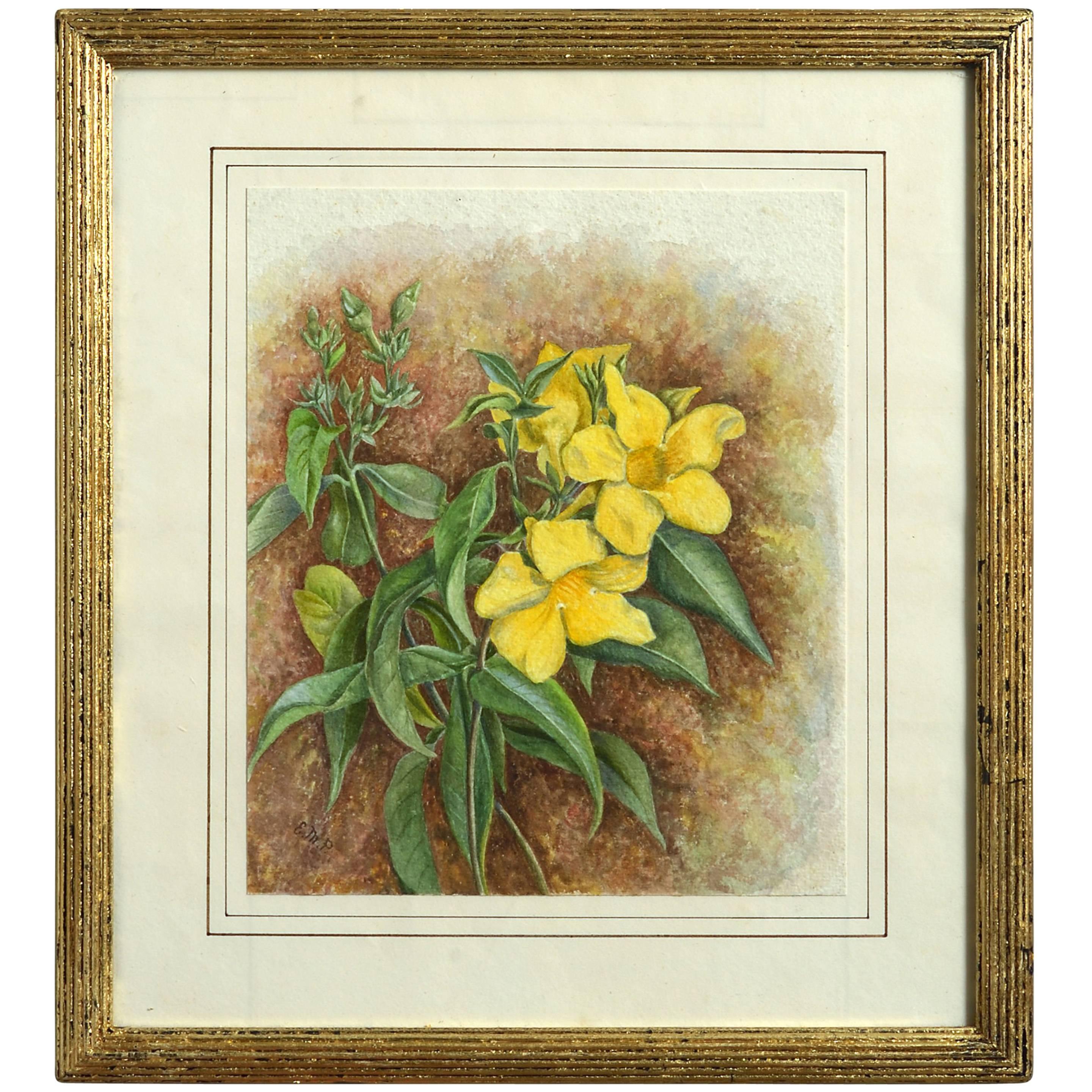 Late 19th Century Botanical Watercolor