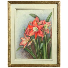 Late 19th Century Botanical Watercolor of a Red Lily